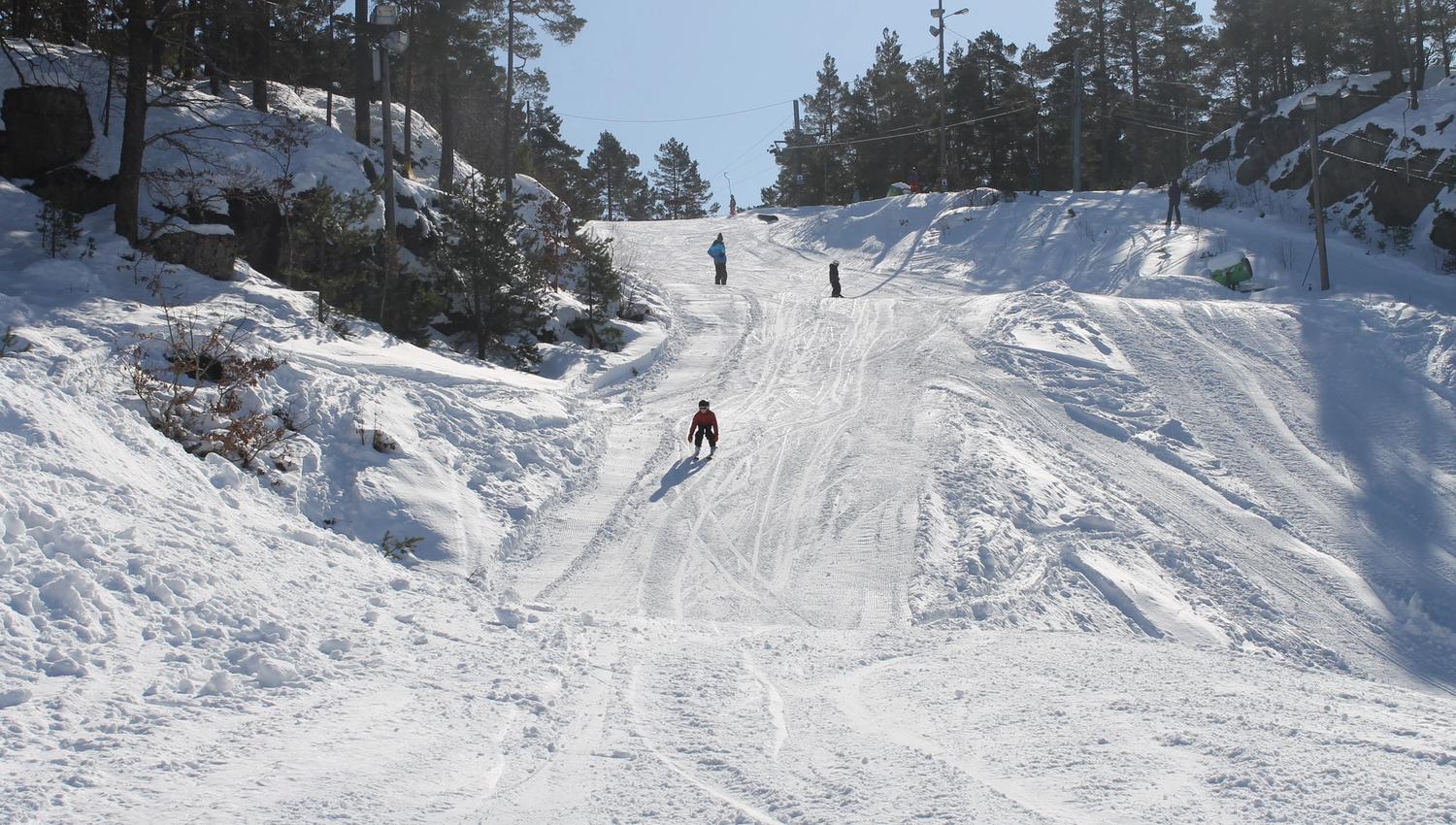 Alpint i Tveit skisenter