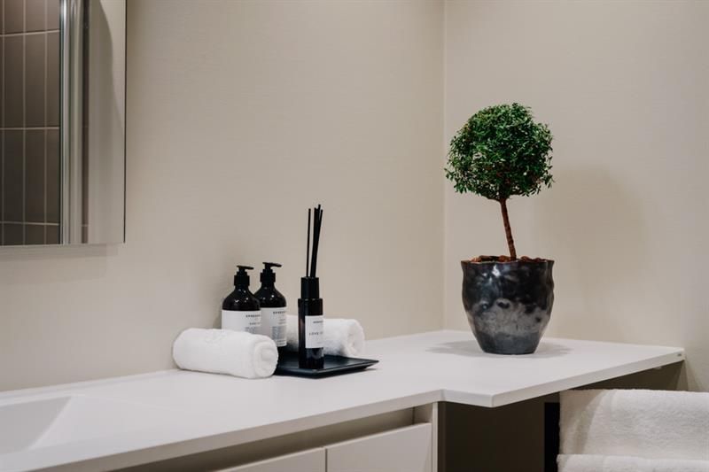 Bathroom detail