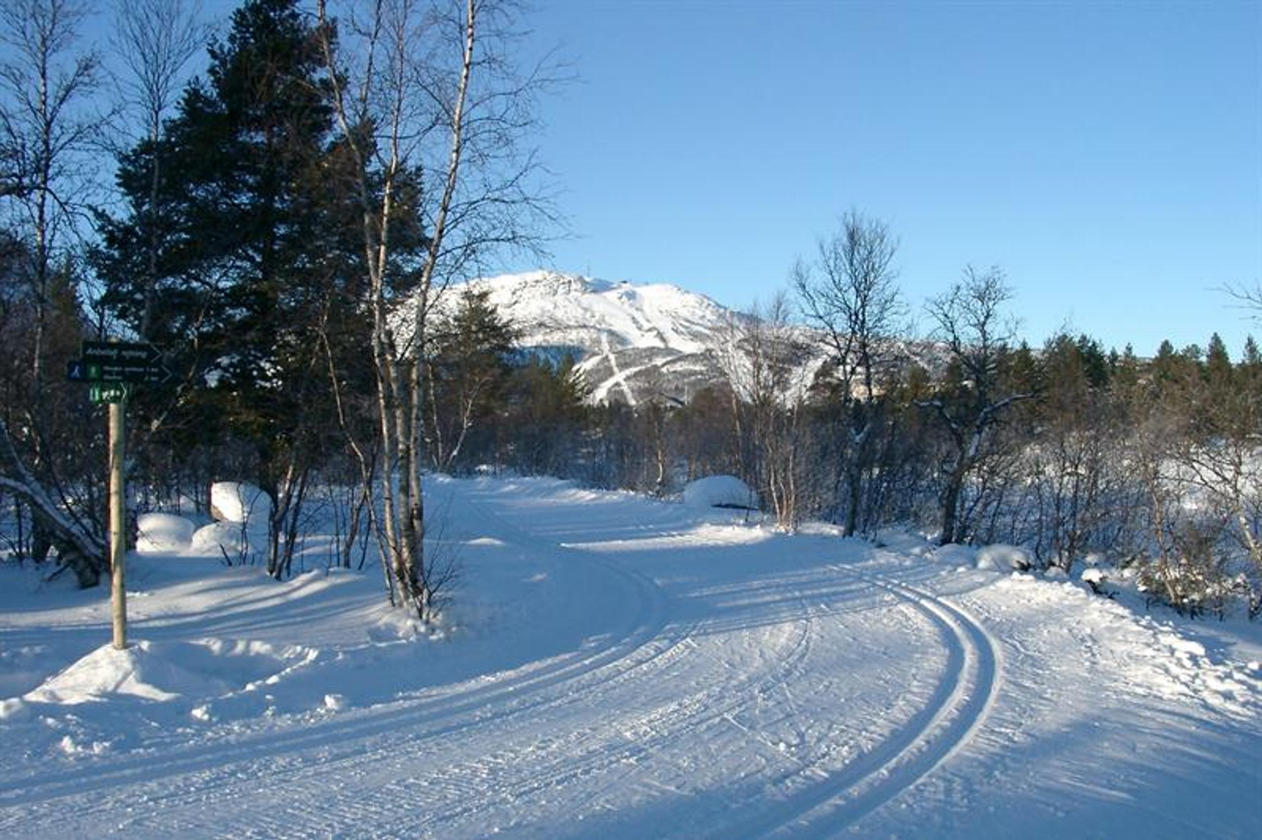 Tracks for classic and skate, photo.