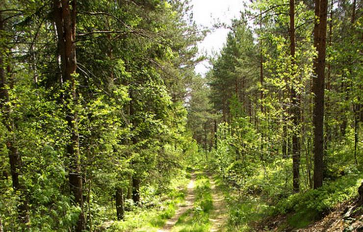 Vegårshei Tursti
