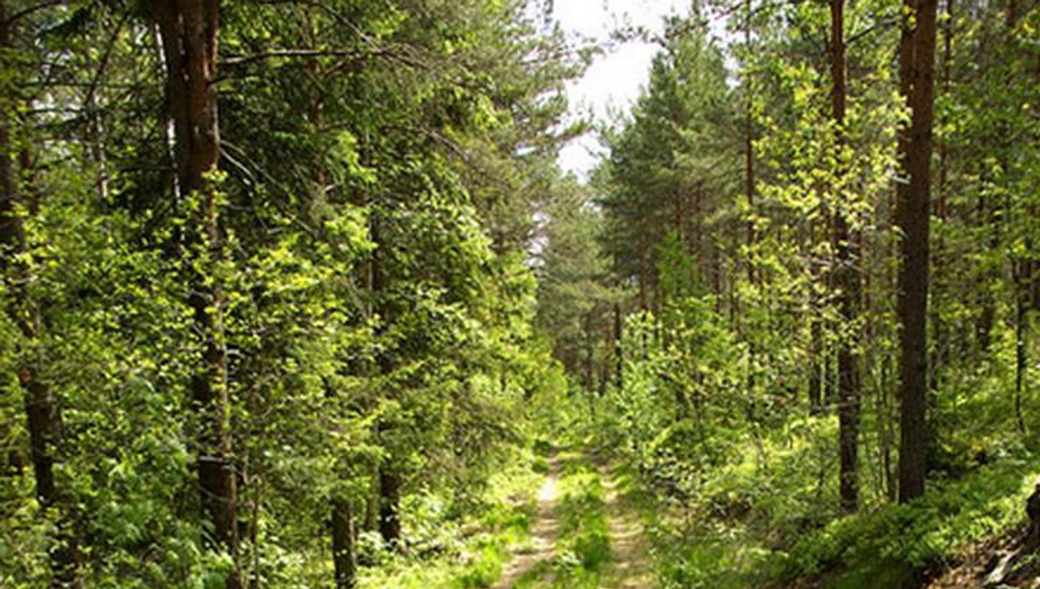 Vegårshei Tursti