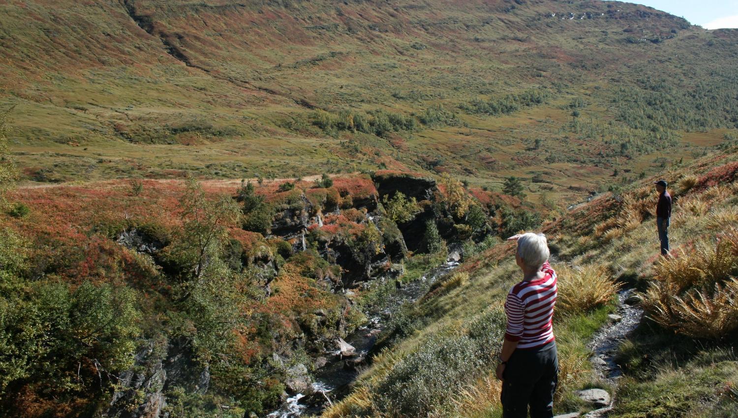 Engjadalen - Heggdalsvatnet