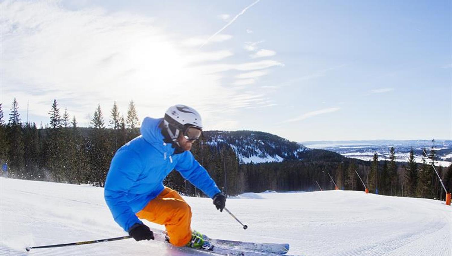 skier
