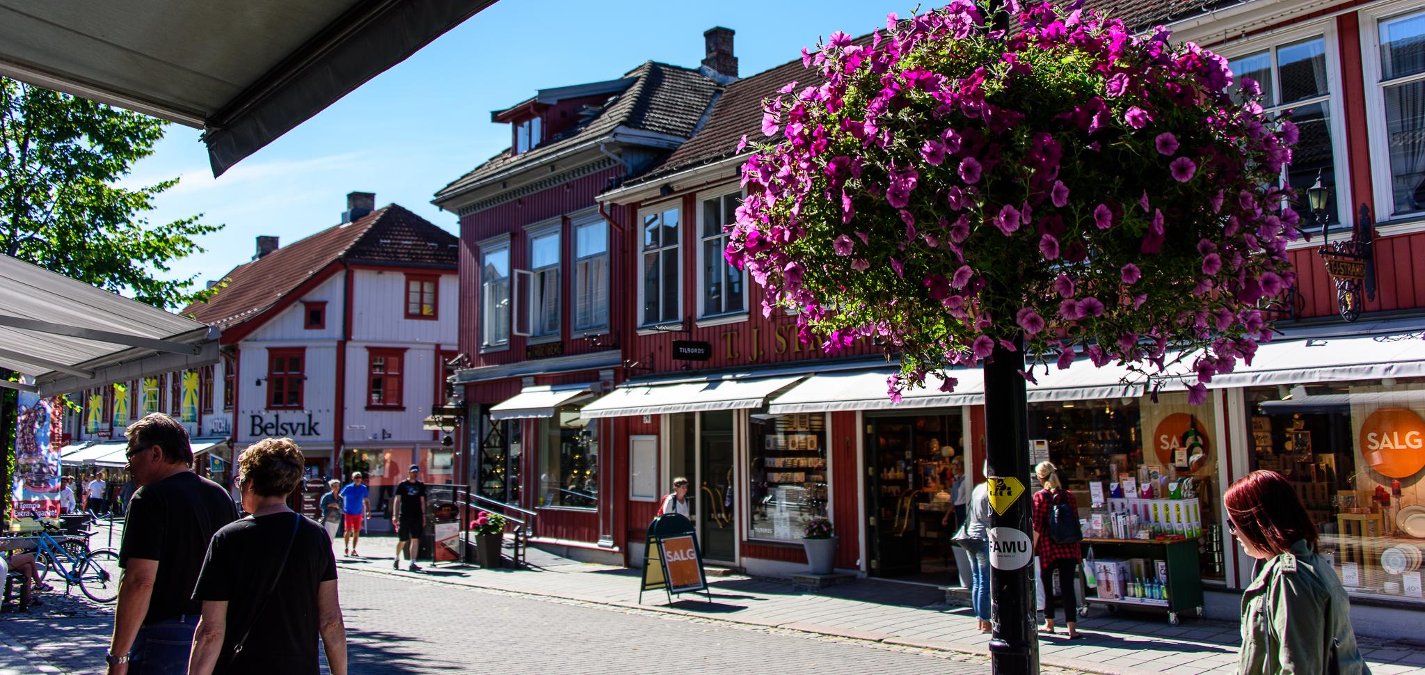 From the pedestrian street in Lillehammer, summer