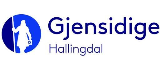 Gjensidige Hallingdal logo