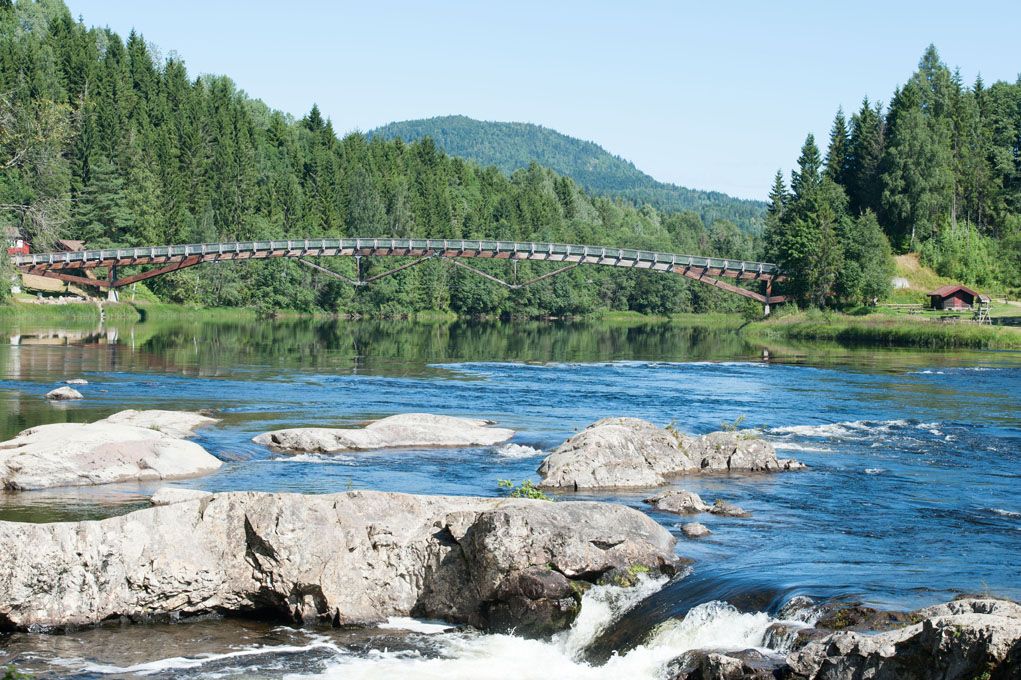 Green forest, mountains in the background, bridge over the river, with the waterfall in the foreground