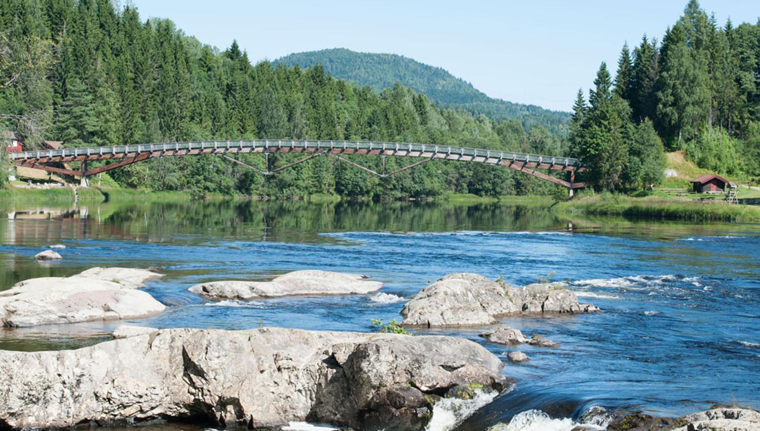 Green forest, mountains in the background, bridge over the river, with the waterfall in the foreground