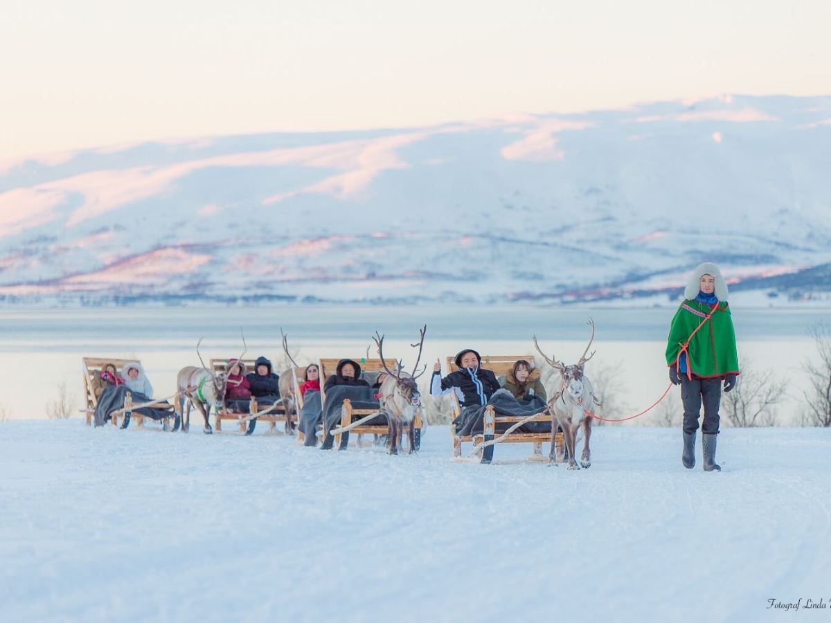 Reindeer sledding