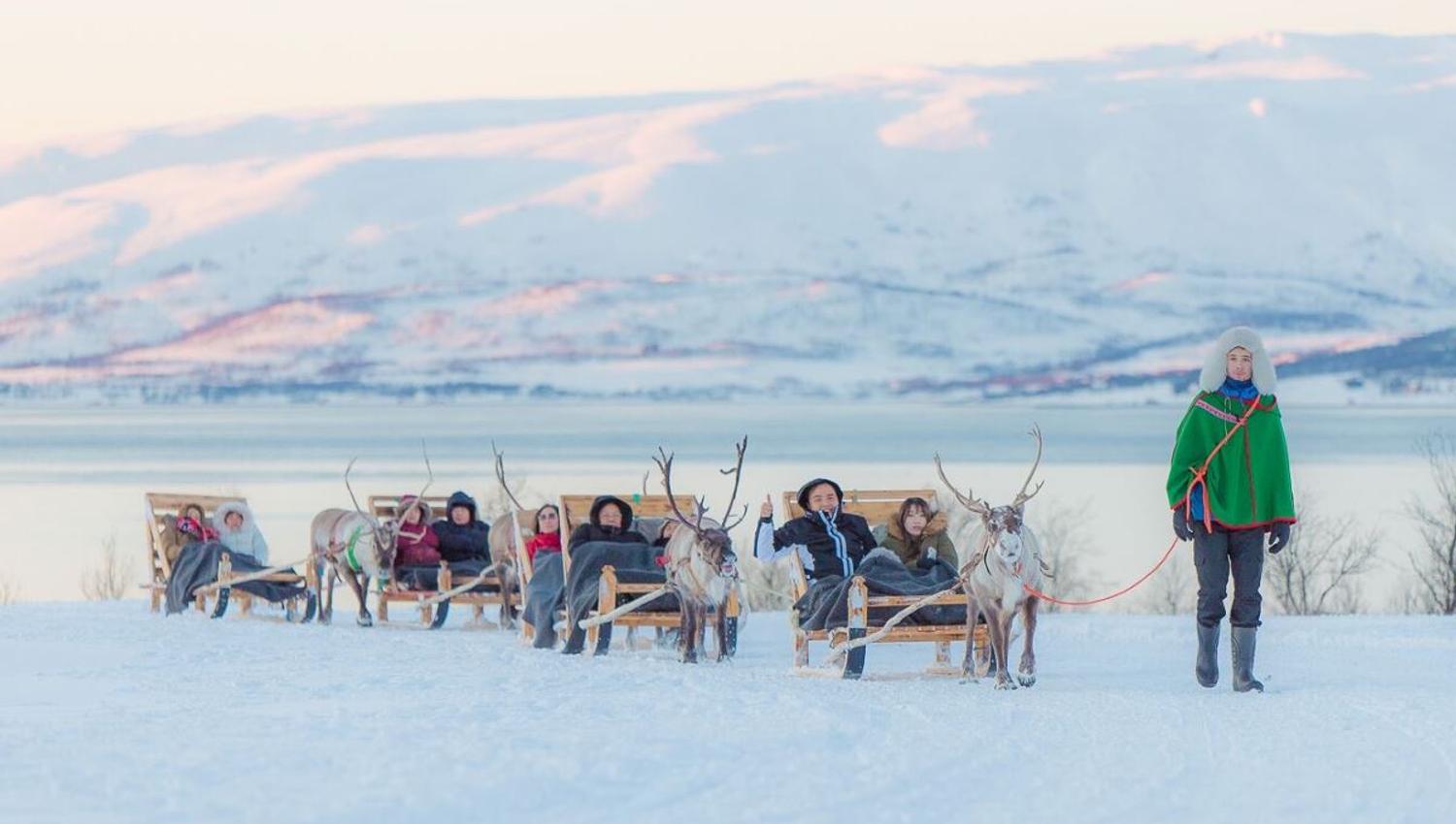 Reindeer sledding