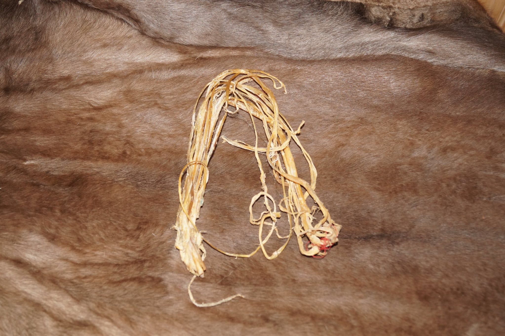 Experience Sami culture in Kautokeino - Image 10
