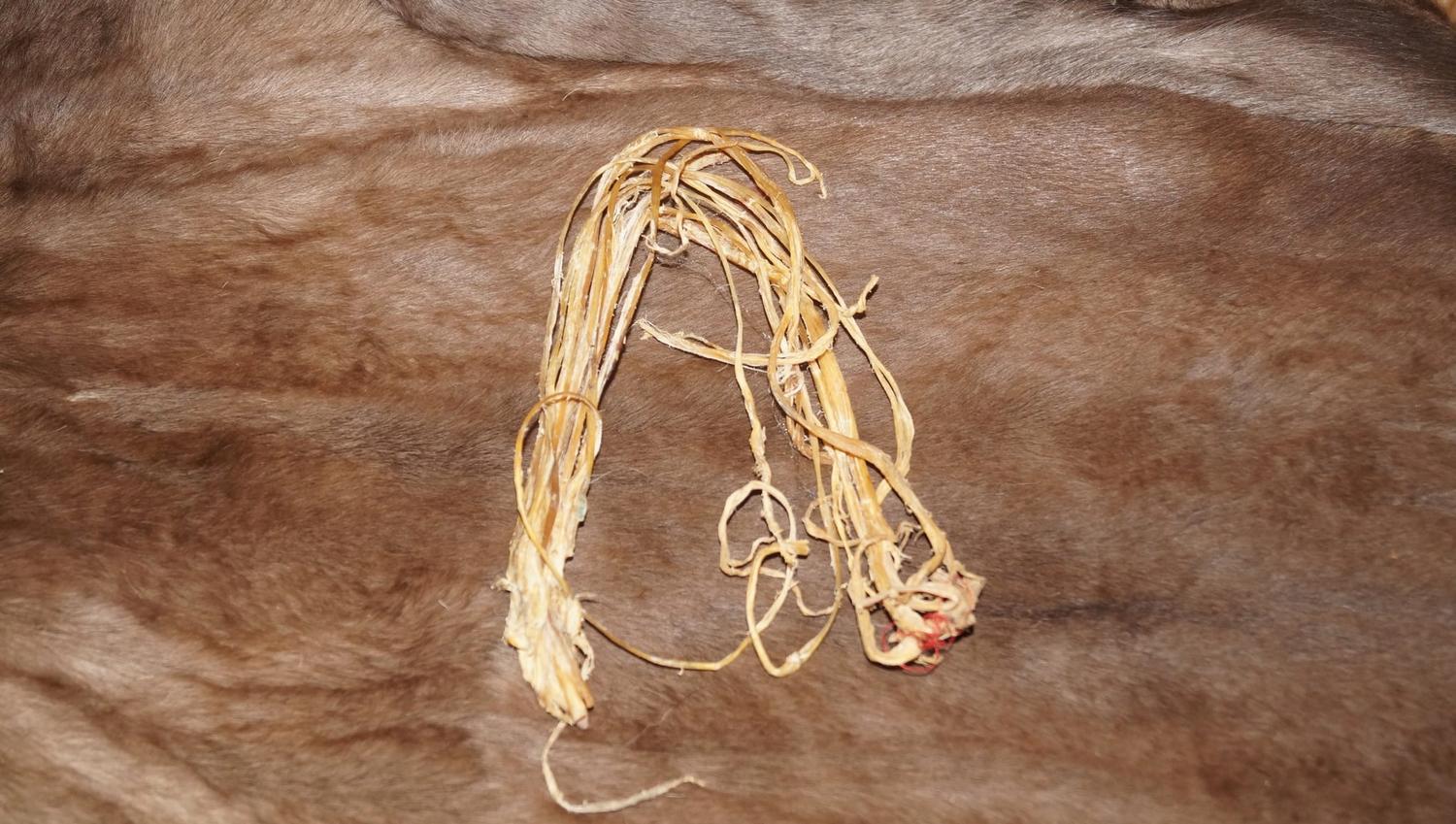 Experience Sami culture in Kautokeino - Image 10
