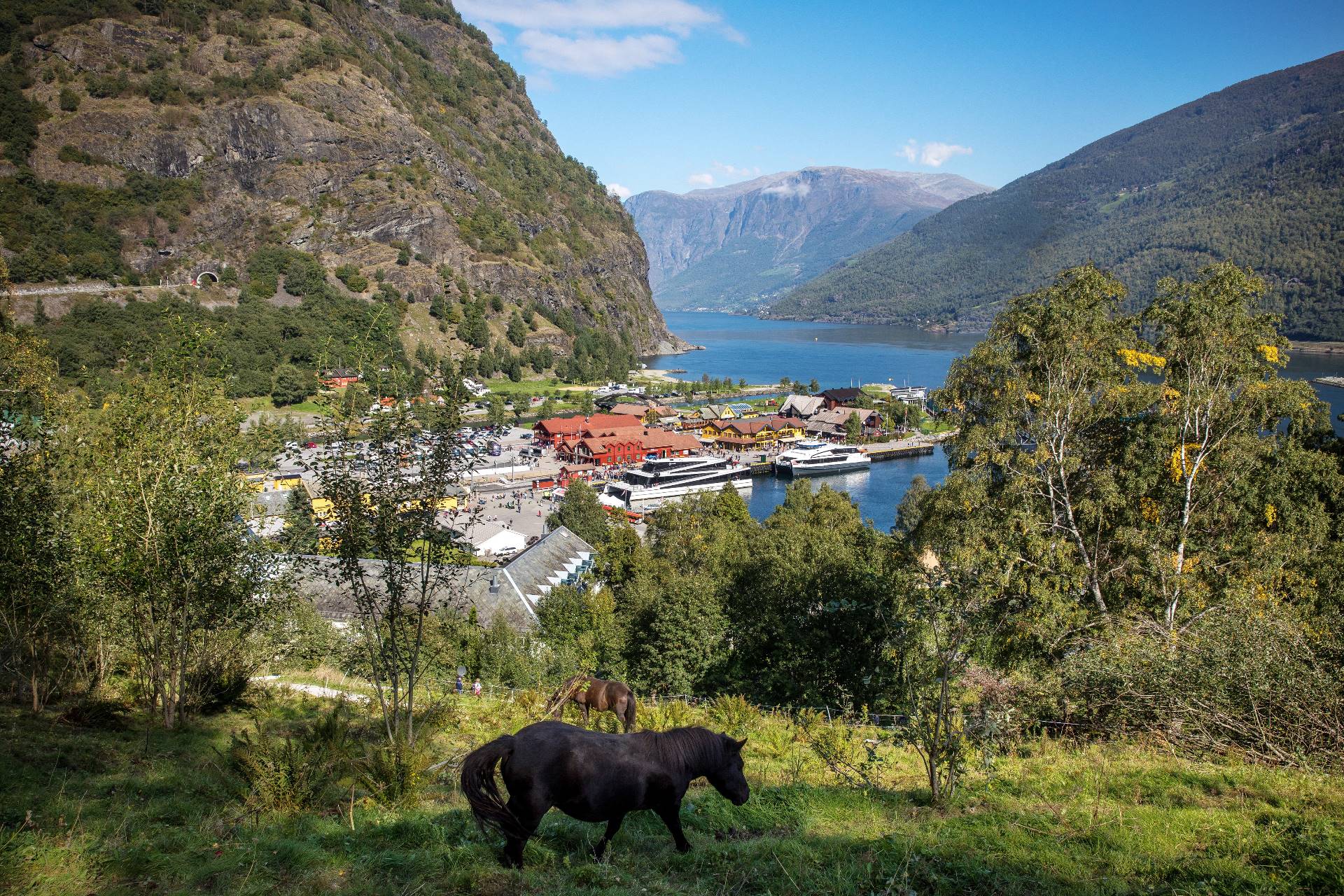 GoFlåm3
