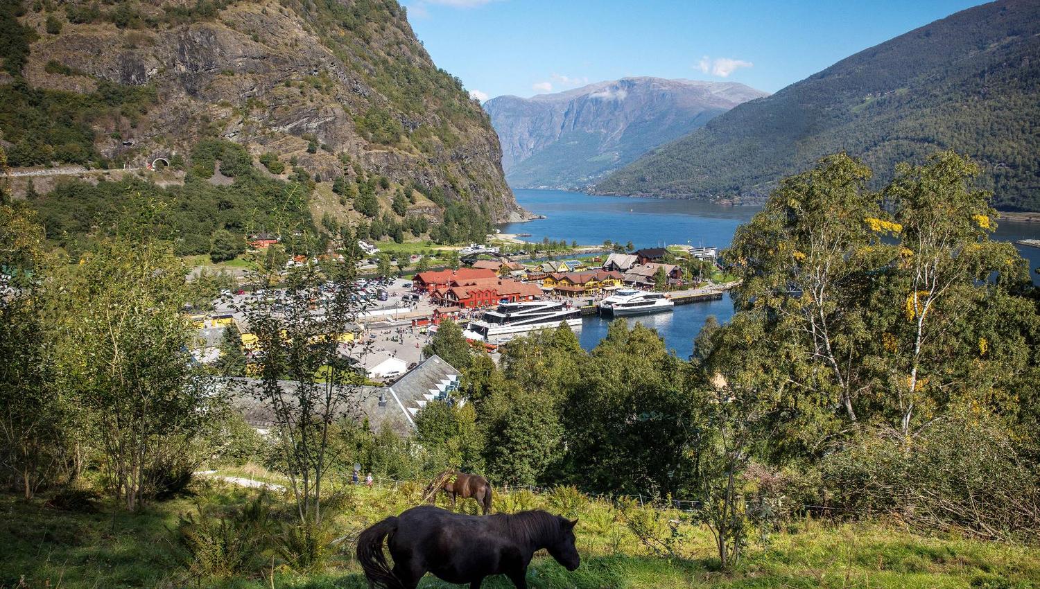 GoFlåm3