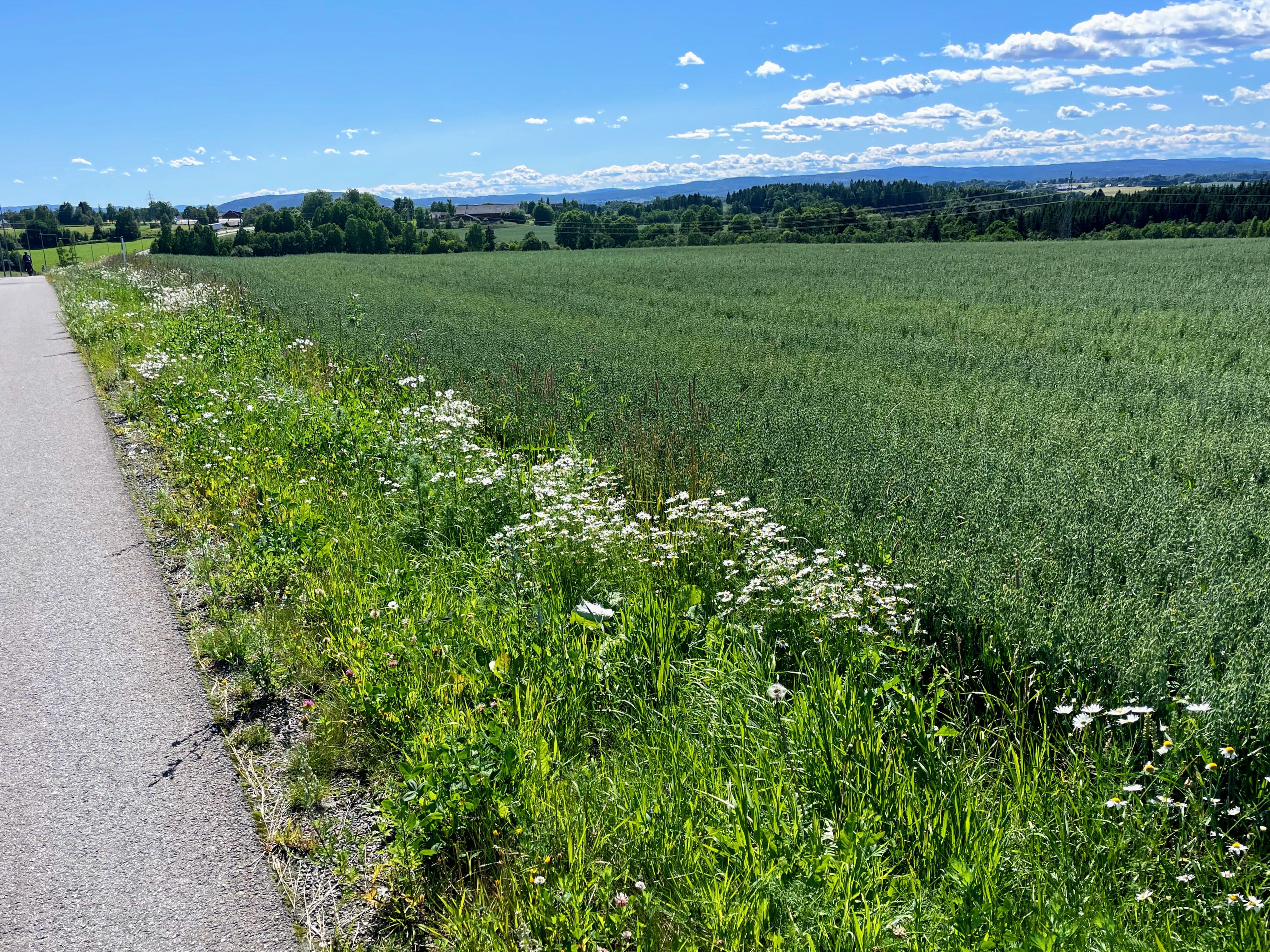 Pendlerruta på gang og sykkelvei