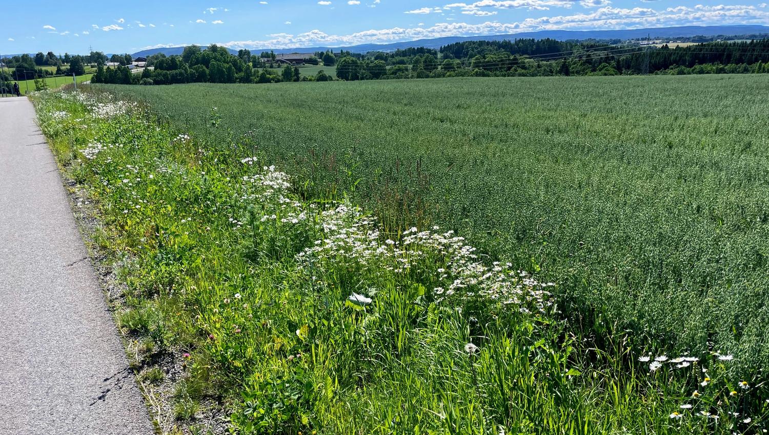 Pendlerruta på gang og sykkelvei