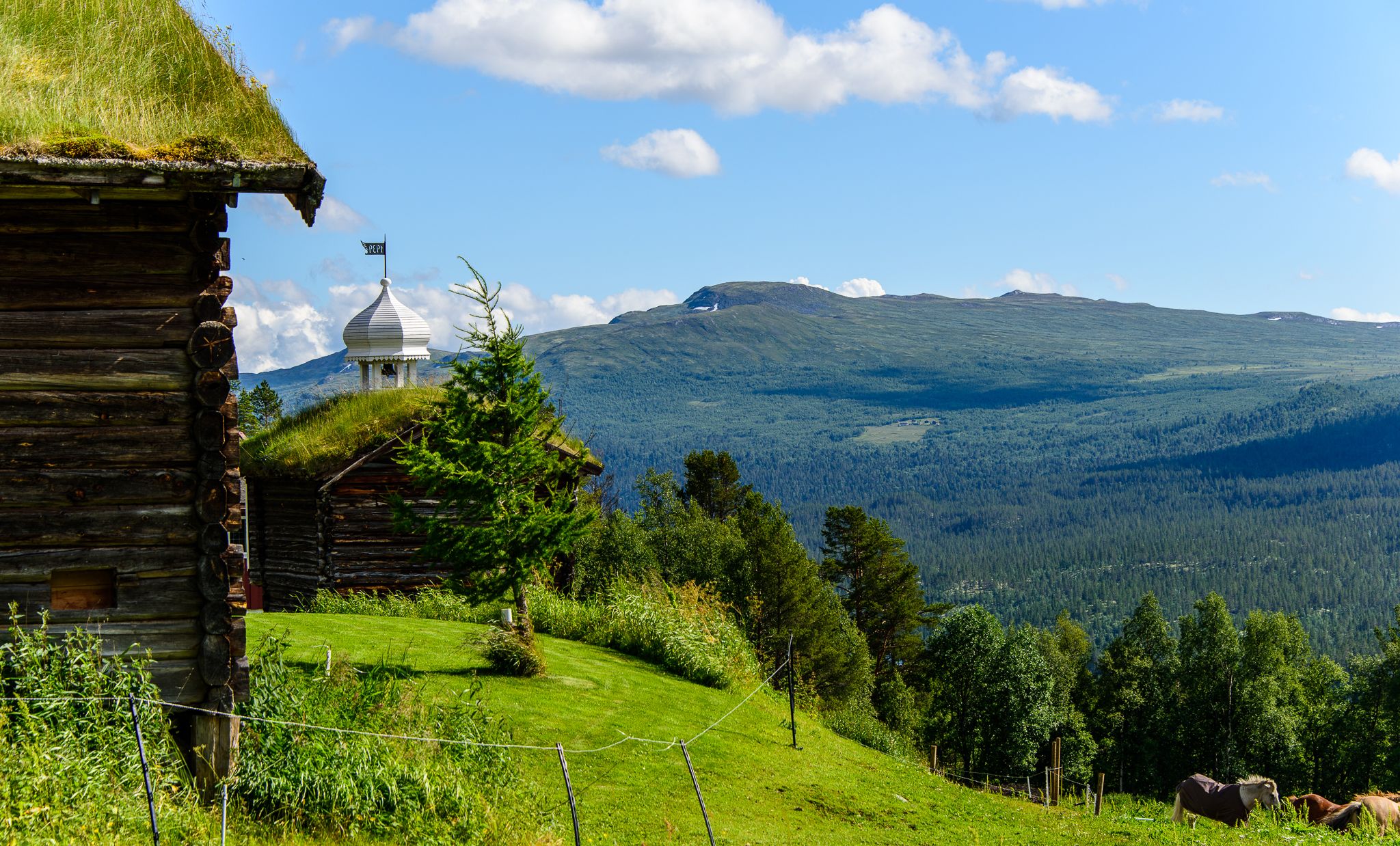 Ruten Fjellstue