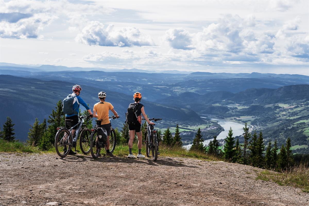 Drei Radfahrer stehen mit ihren Rädern an einem Aussichtspunkt und blicken über ein weites Tal mit einem sich schlängelnden Fluss.