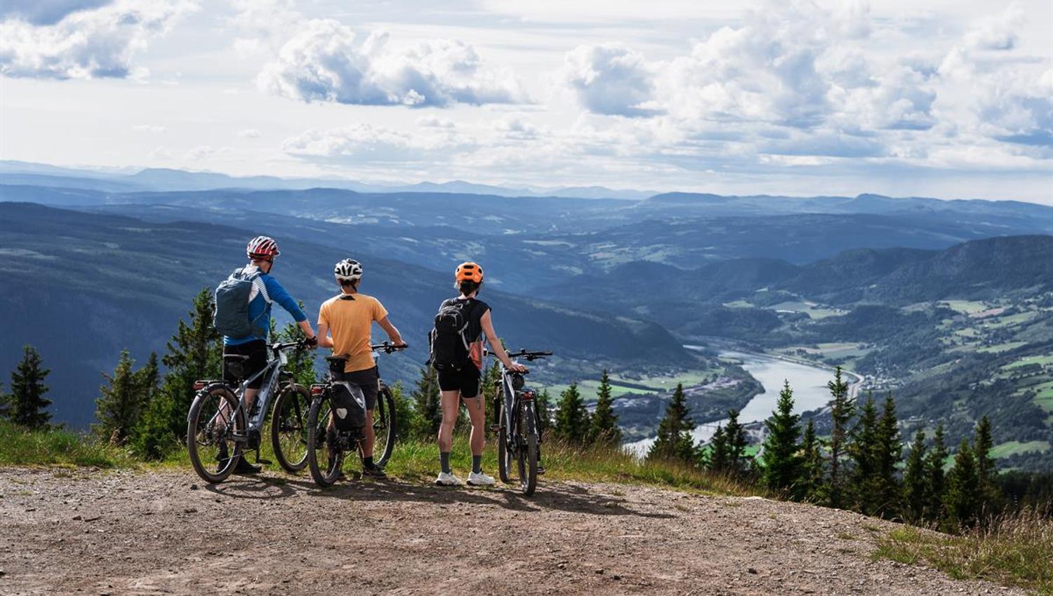 Drei Radfahrer stehen mit ihren Rädern an einem Aussichtspunkt und blicken über ein weites Tal mit einem sich schlängelnden Fluss.