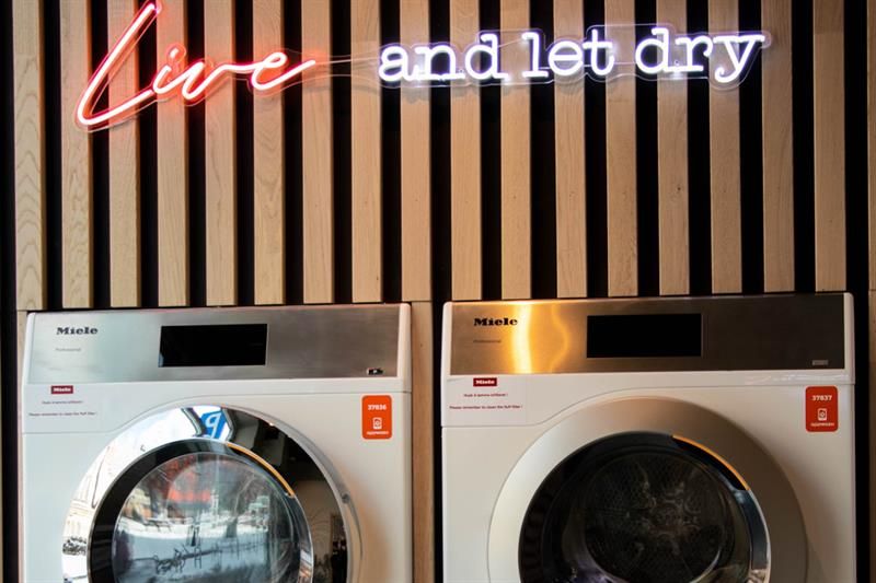 neon lighting "live and let dry"
