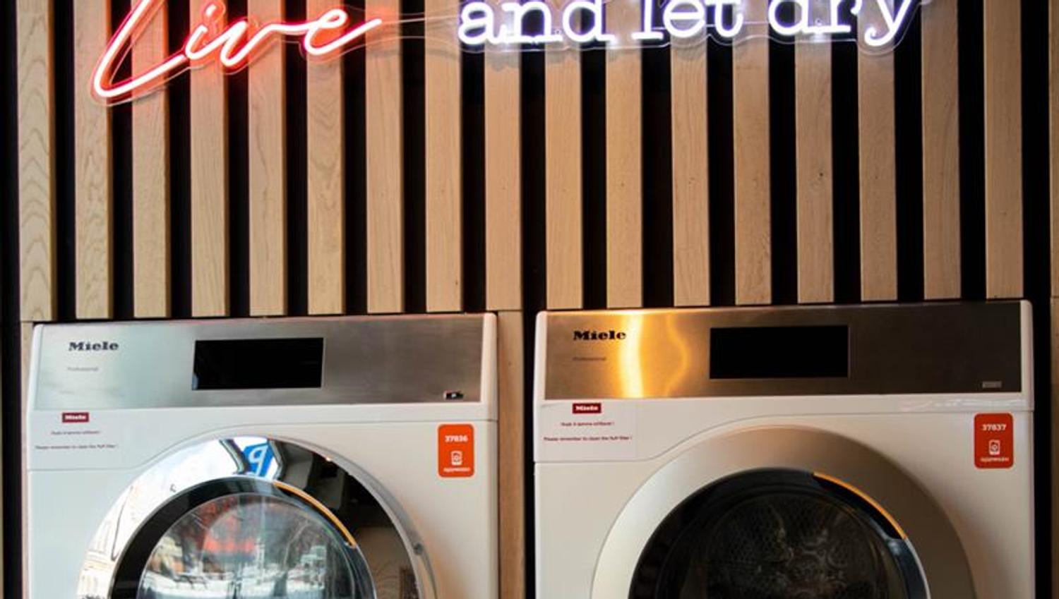 neon lighting "live and let dry"