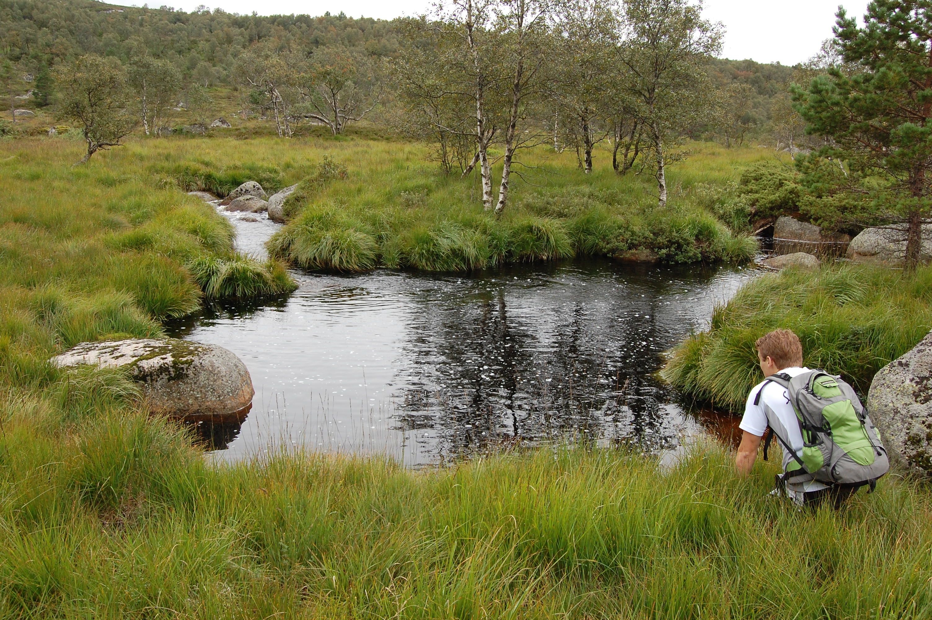 A meadow with a man squatting, looking down at the water