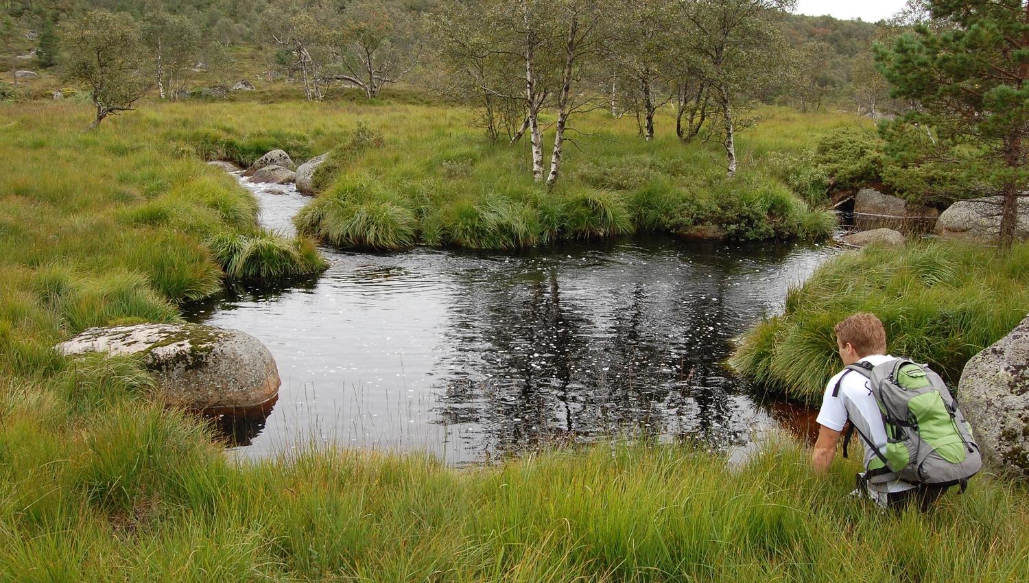 A meadow with a man squatting, looking down at the water