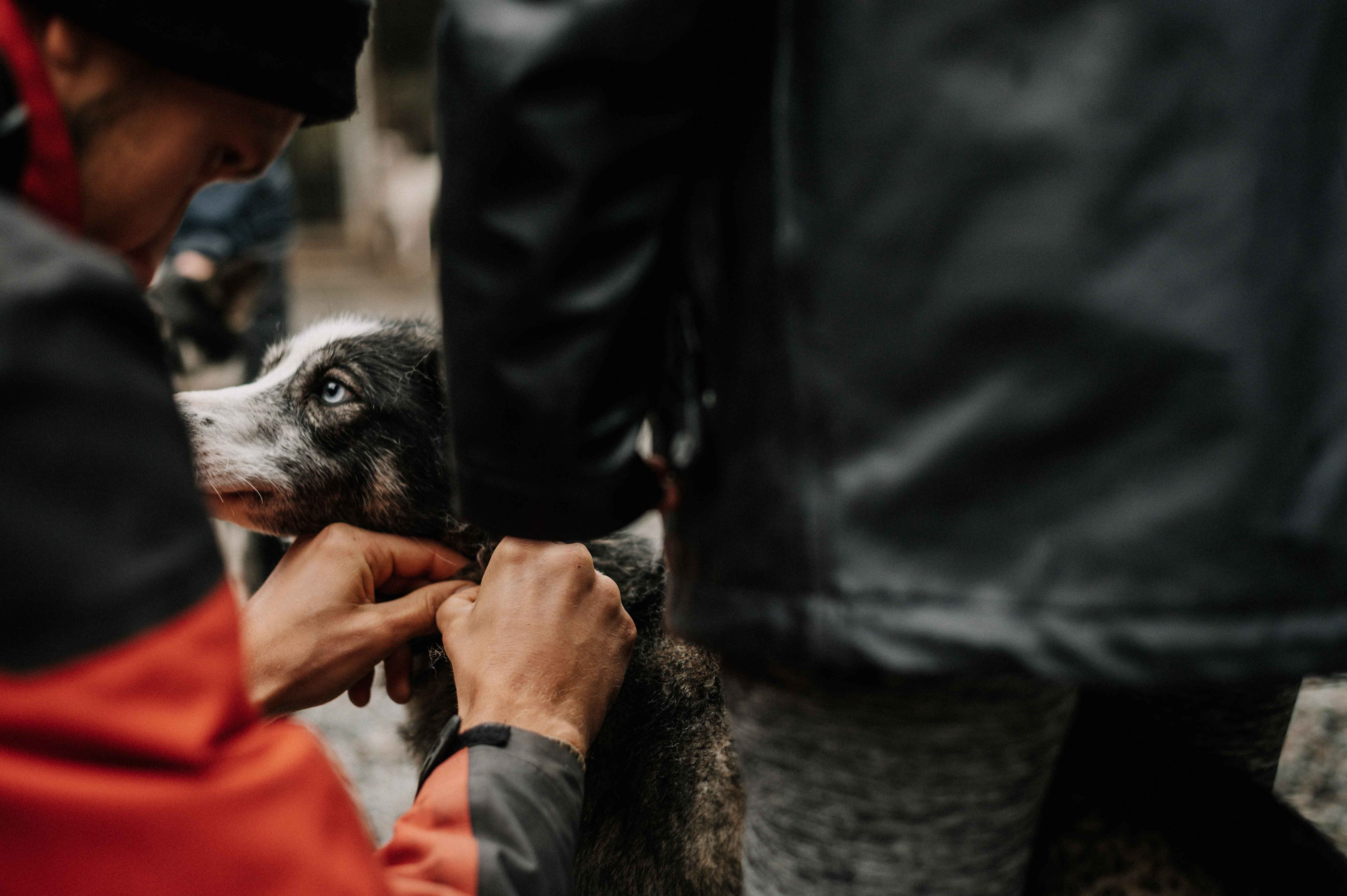 Sirdal Husky Farm