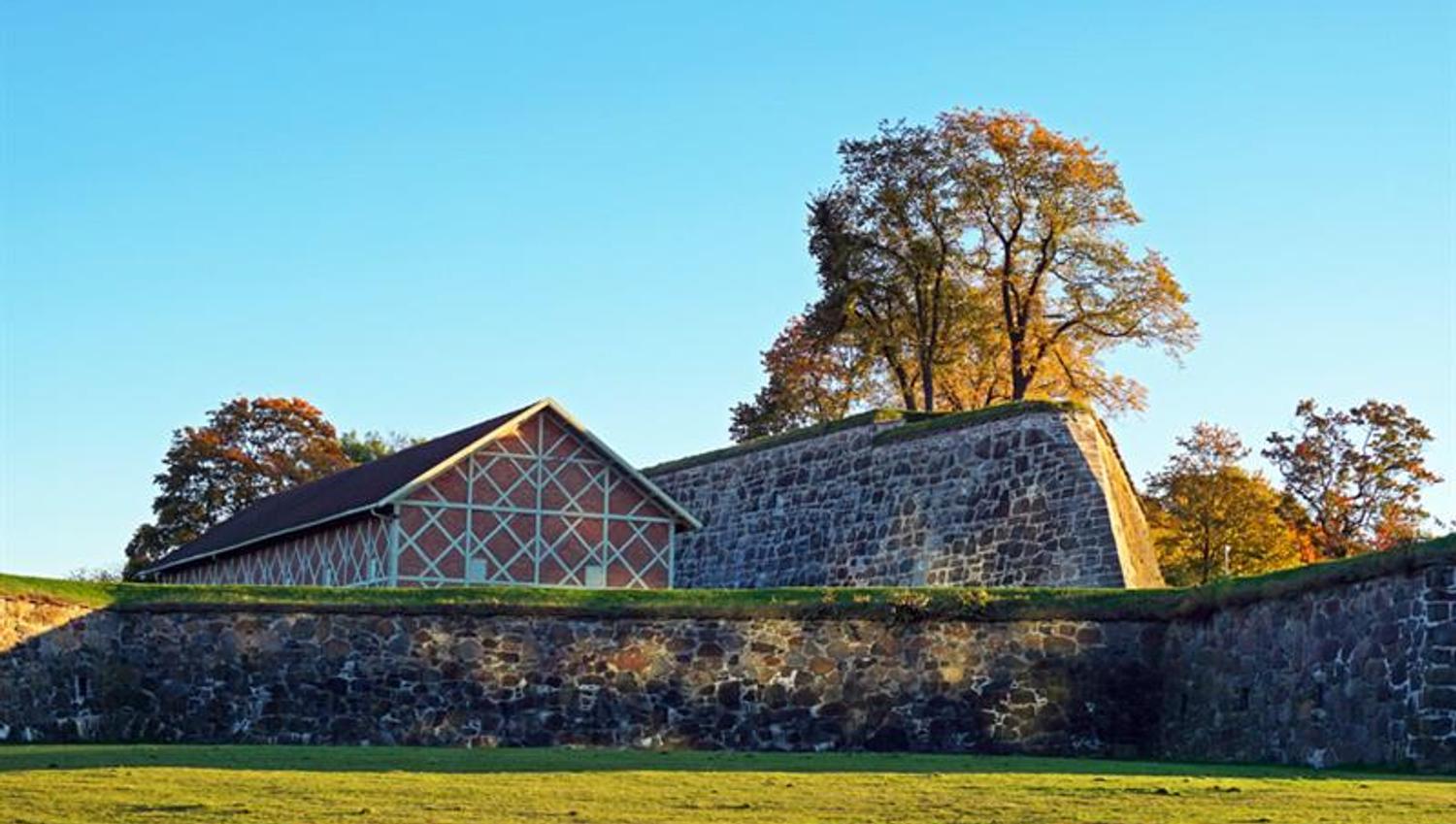 A lawn, a house and the wall.