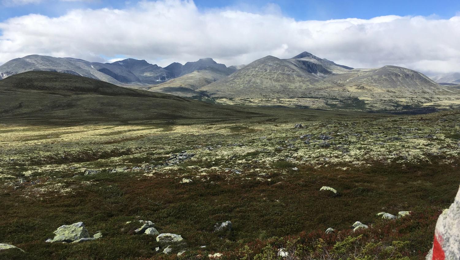 Utsikt over Rondane og fjellene | Venabu Fjellhotell