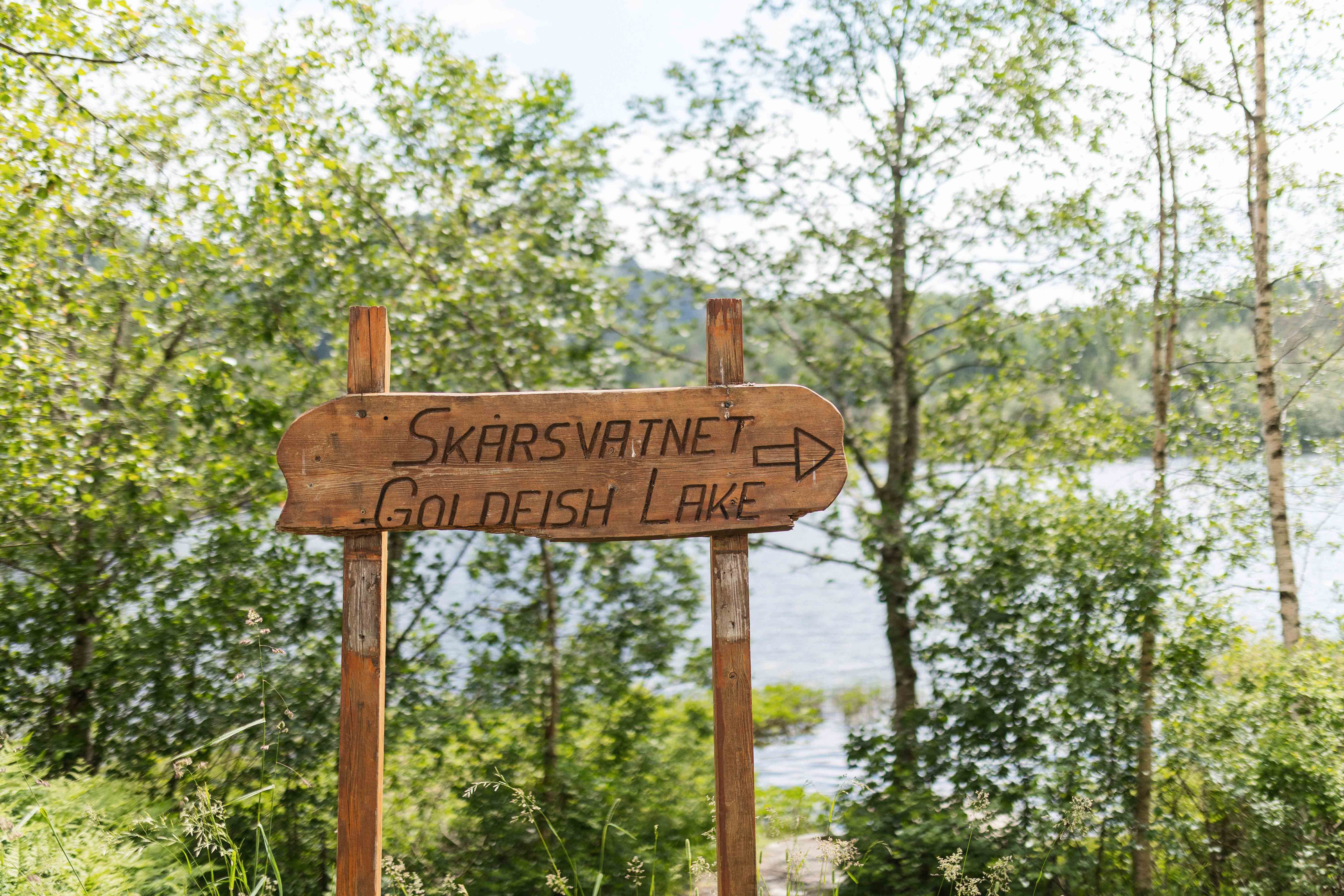Treskilt med teksten "Skårsvatnet Gullfisk Lake", plassert ved innsjøen i Hardanger, omgitt av grøntområde.