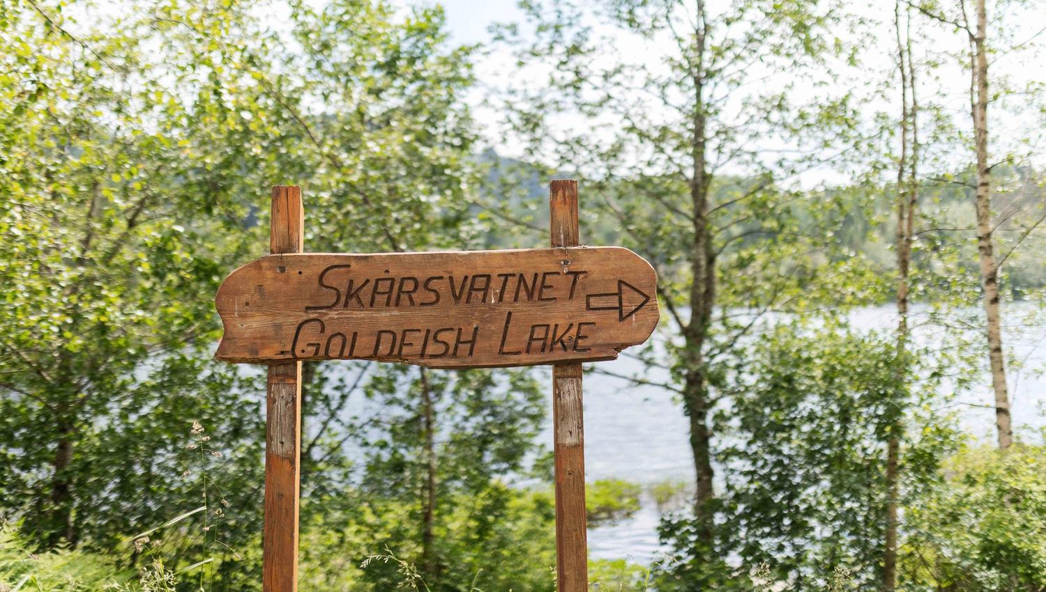 Treskilt med teksten "Skårsvatnet Gullfisk Lake", plassert ved innsjøen i Hardanger, omgitt av grøntområde.
