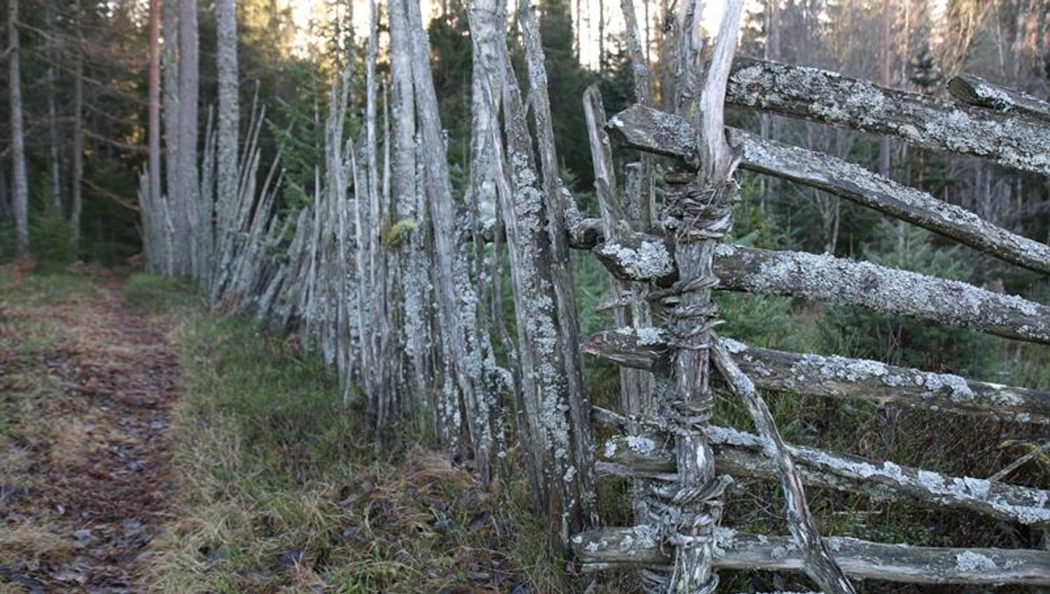 Gammel falleferdig skigard