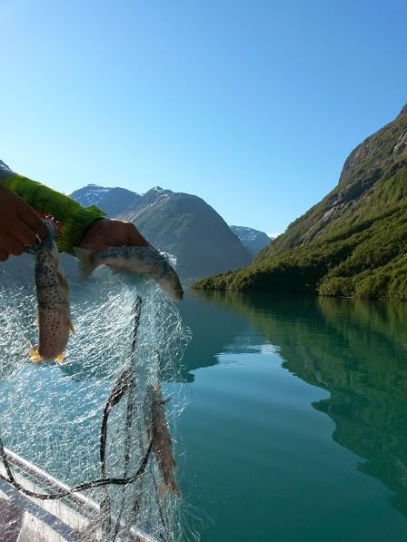 Guided Fishing | Kjenndalstova