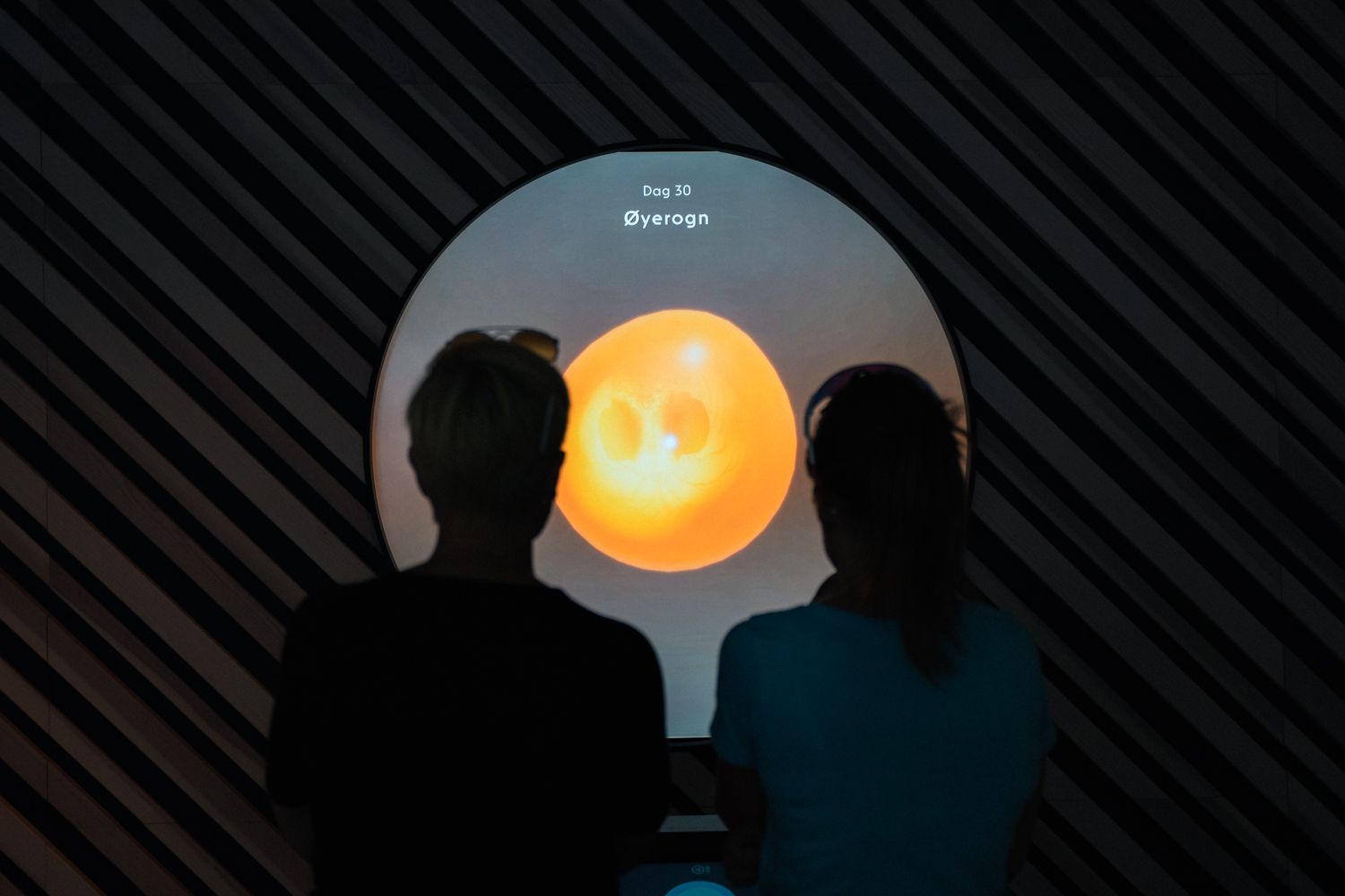 Visitors observing a visual presentation of salmon roe at the Hardanger Aquaculture Centre.