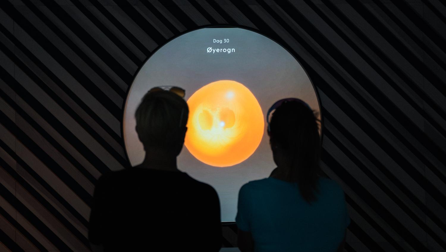Visitors observing a visual presentation of salmon roe at the Hardanger Aquaculture Centre.