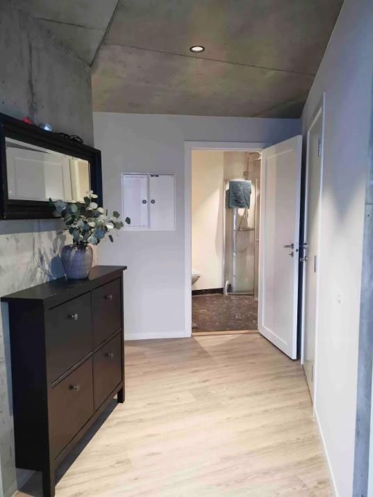 Modern hallway with stylish details and access to the bathroom. A blend of elegance and functionality.