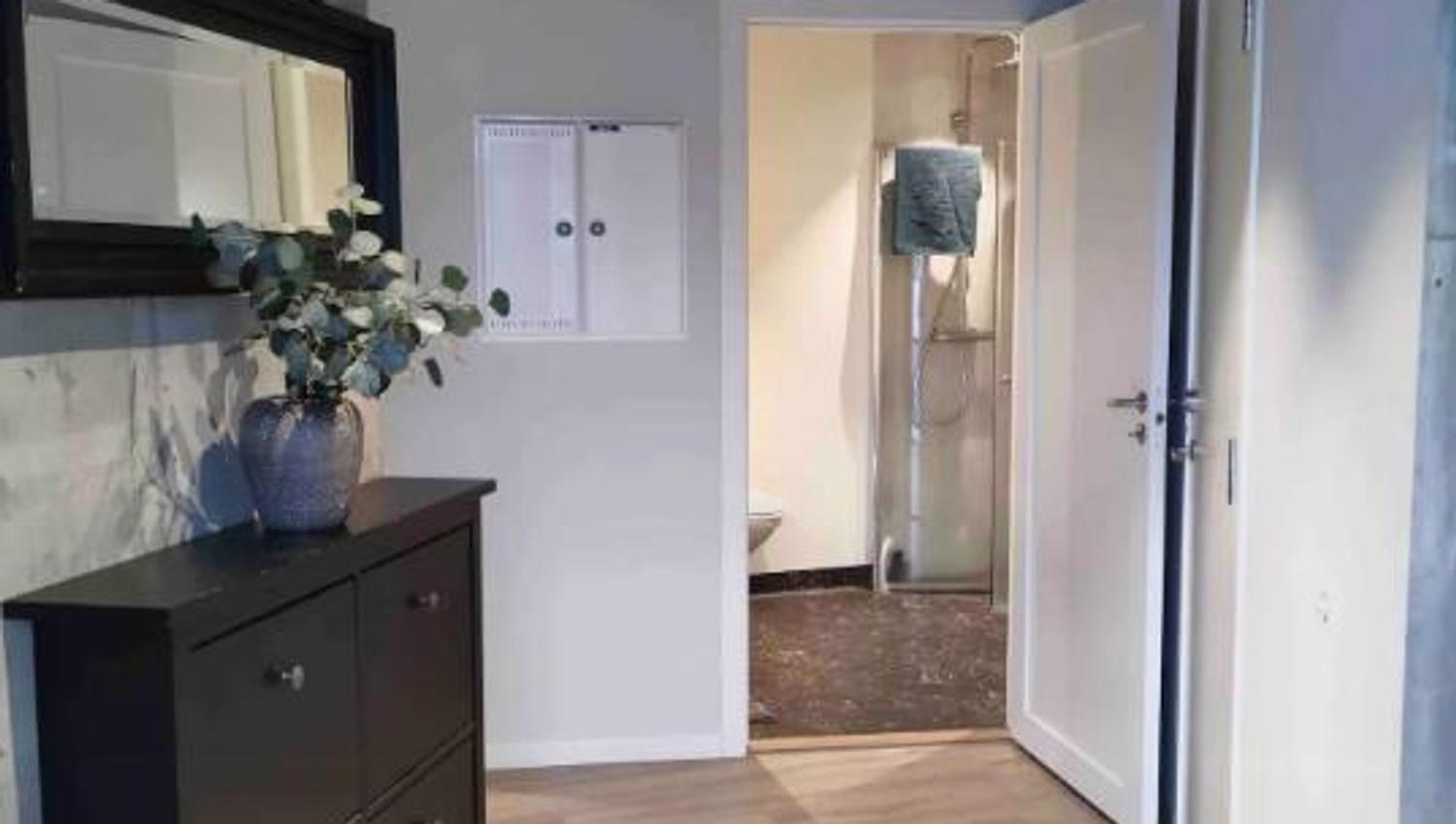 Modern hallway with stylish details and access to the bathroom. A blend of elegance and functionality.