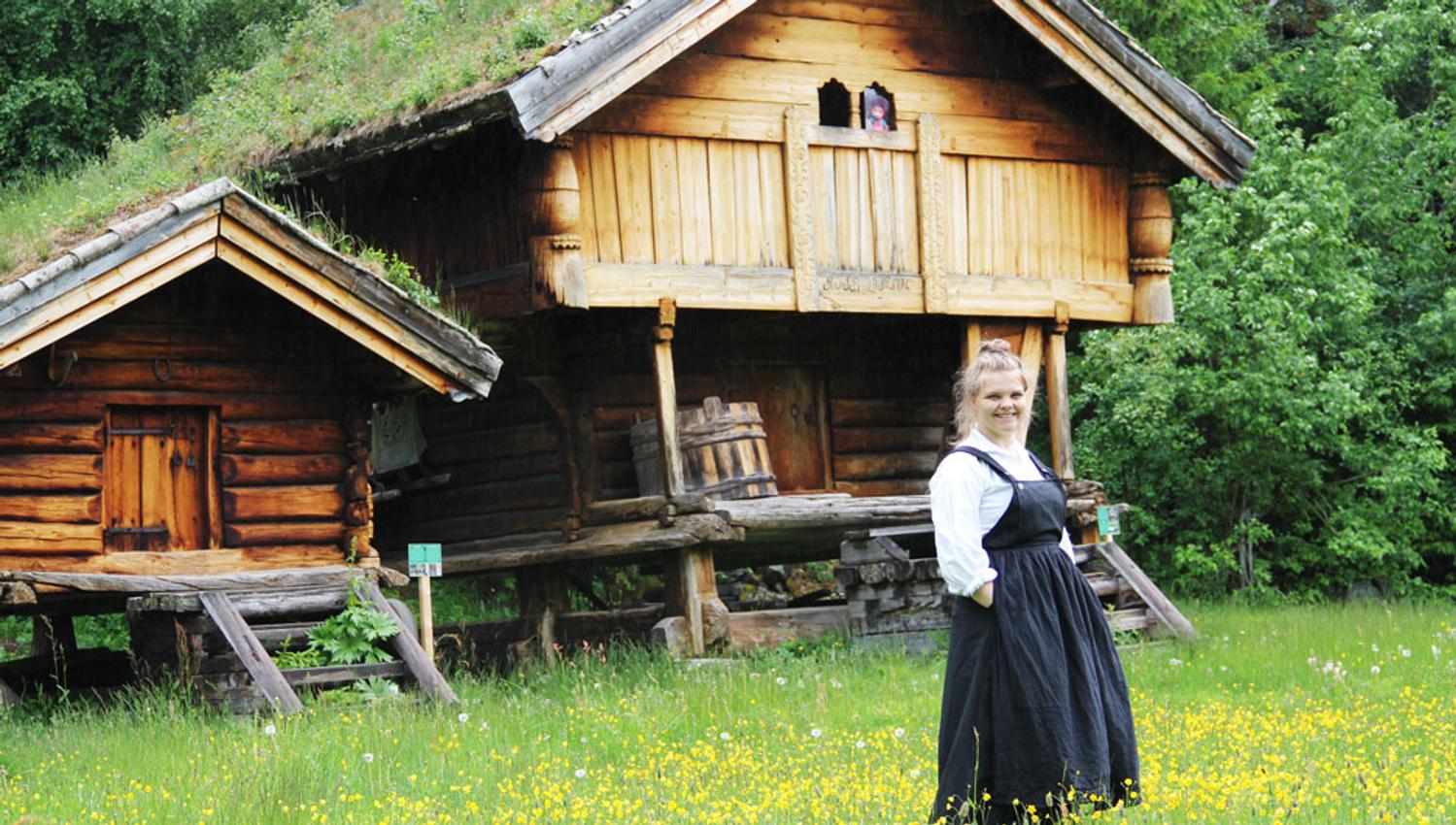 Hovedbilde_tuddal_vangen_web
