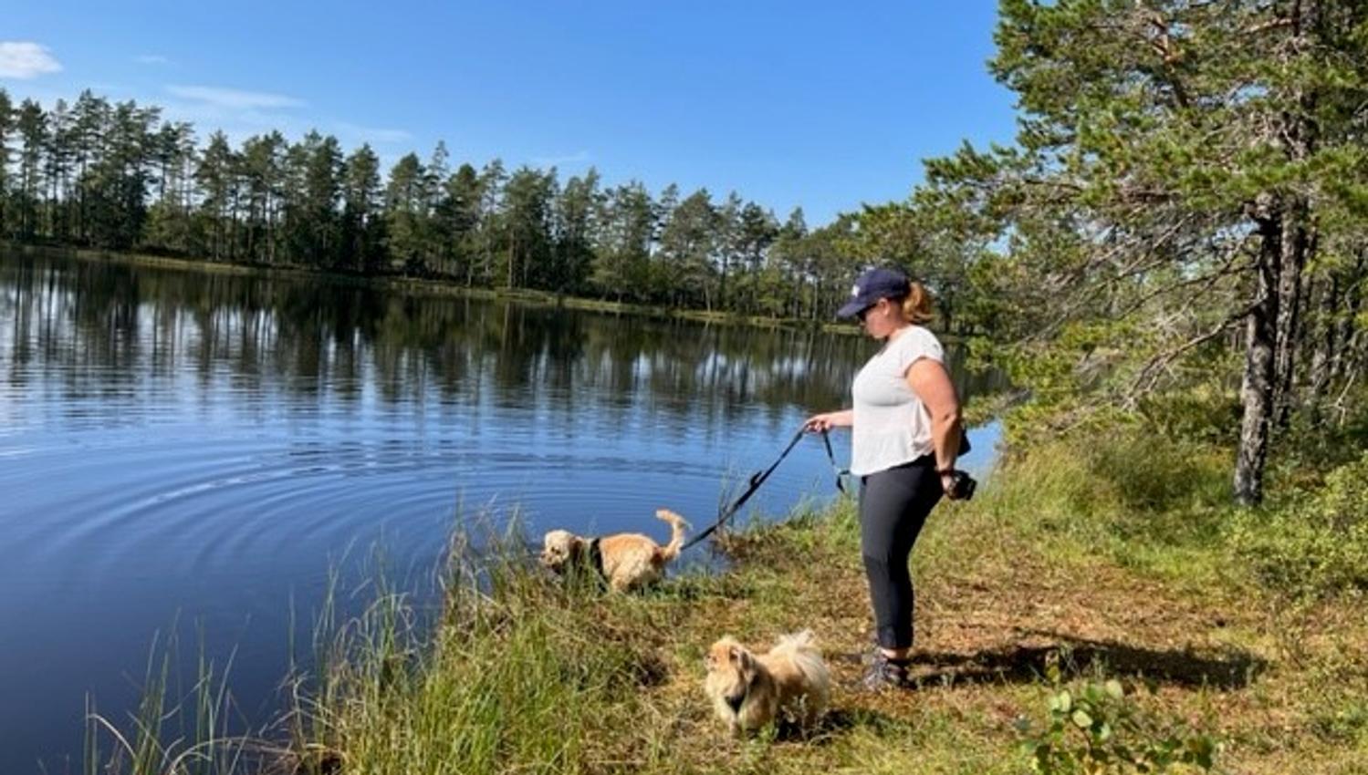 To hunder og eier ved et vann