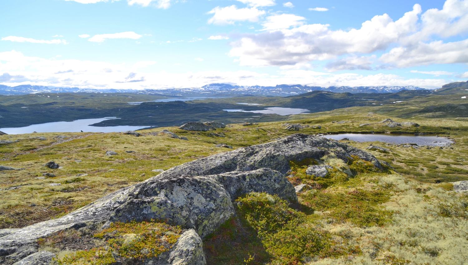 Rødungsberget