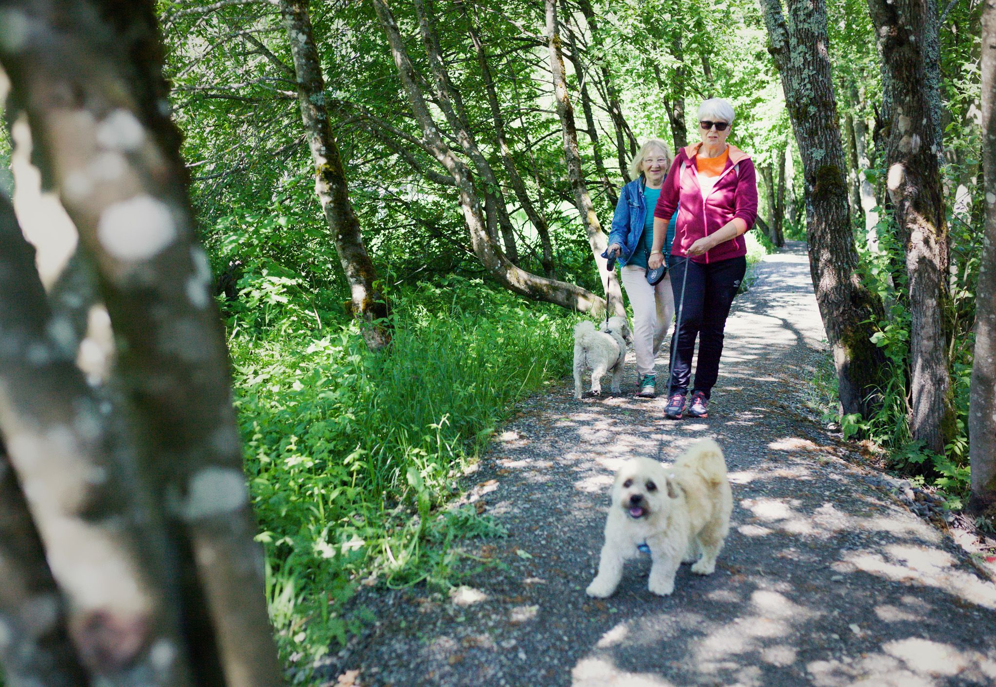 mysen river path