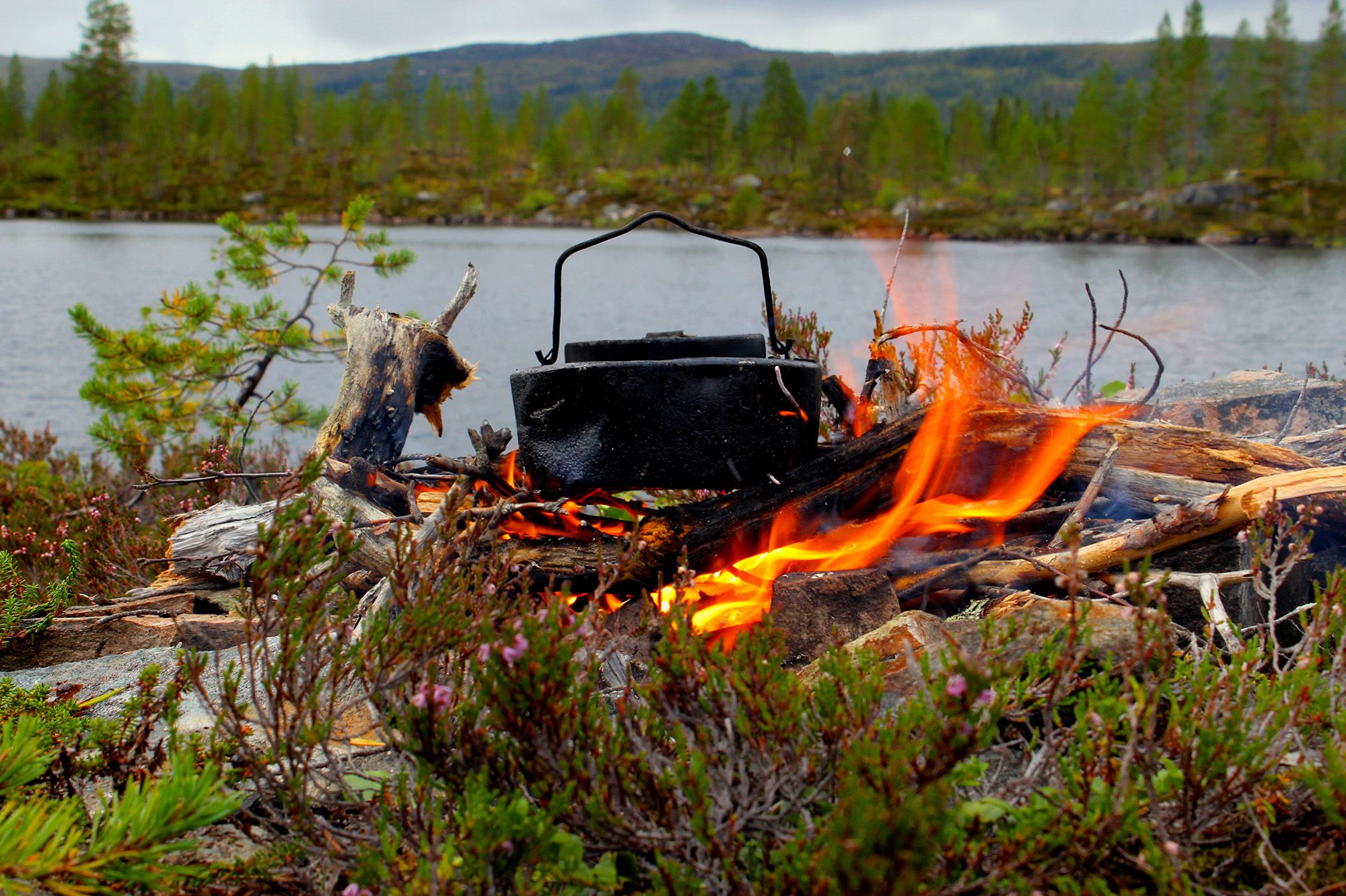 Making cowboy style coffee by the lake Roksjøen in Snåsa