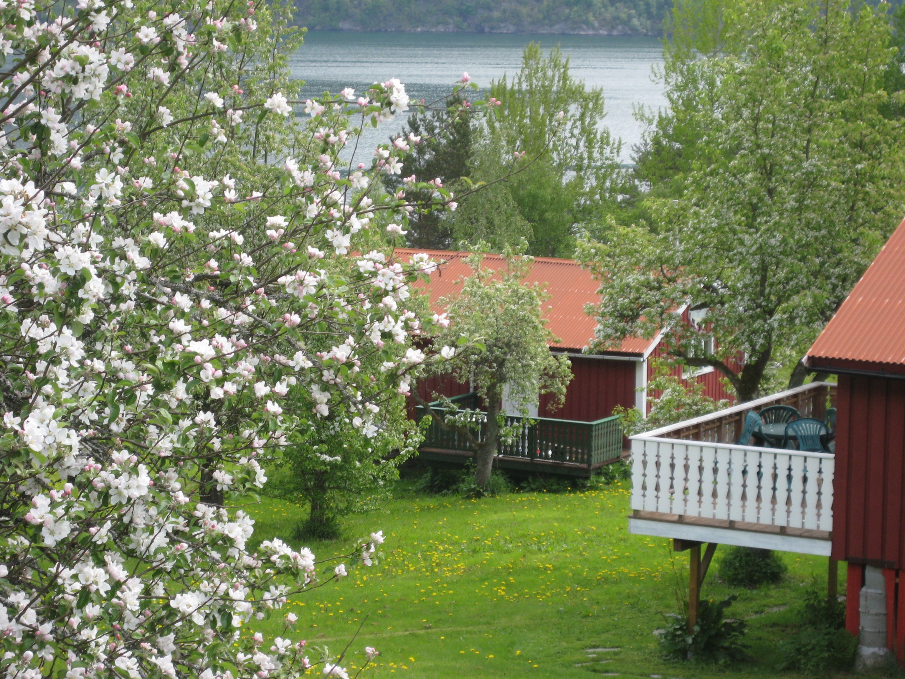 Dragsvik Cabins