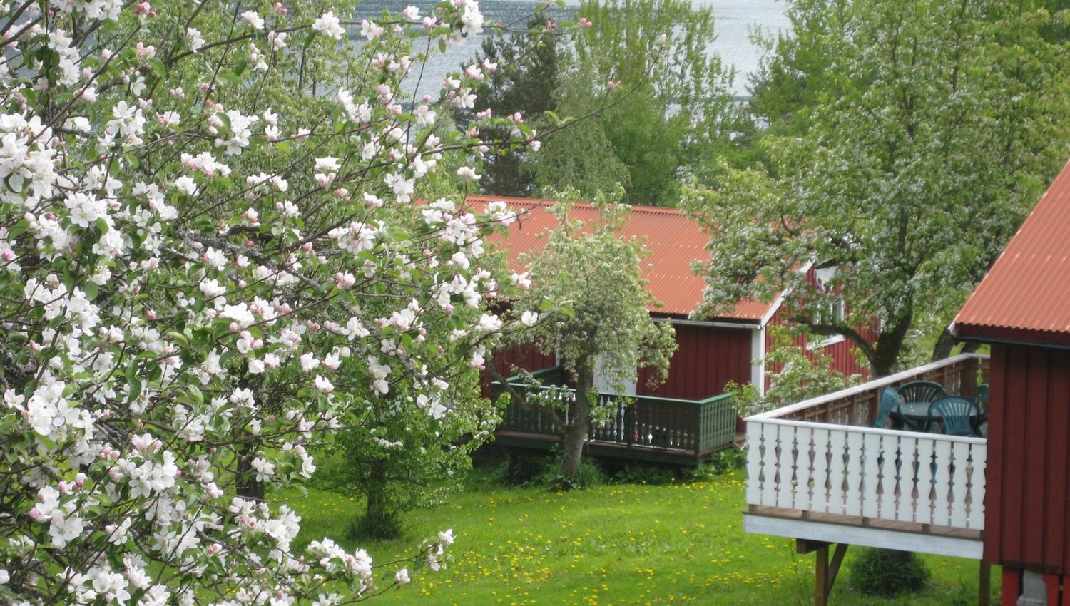 Dragsvik Cabins