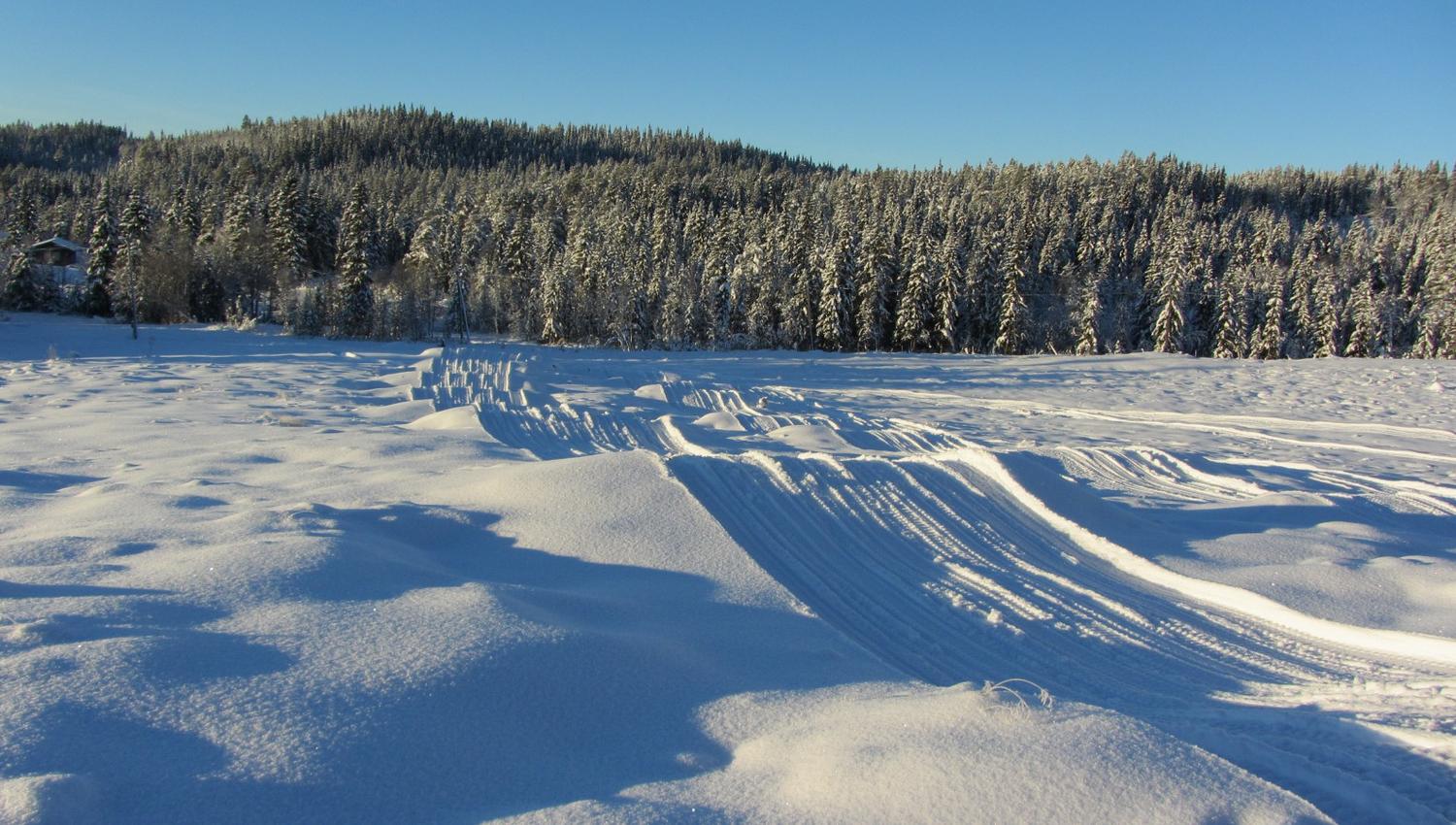 Solseter skicross