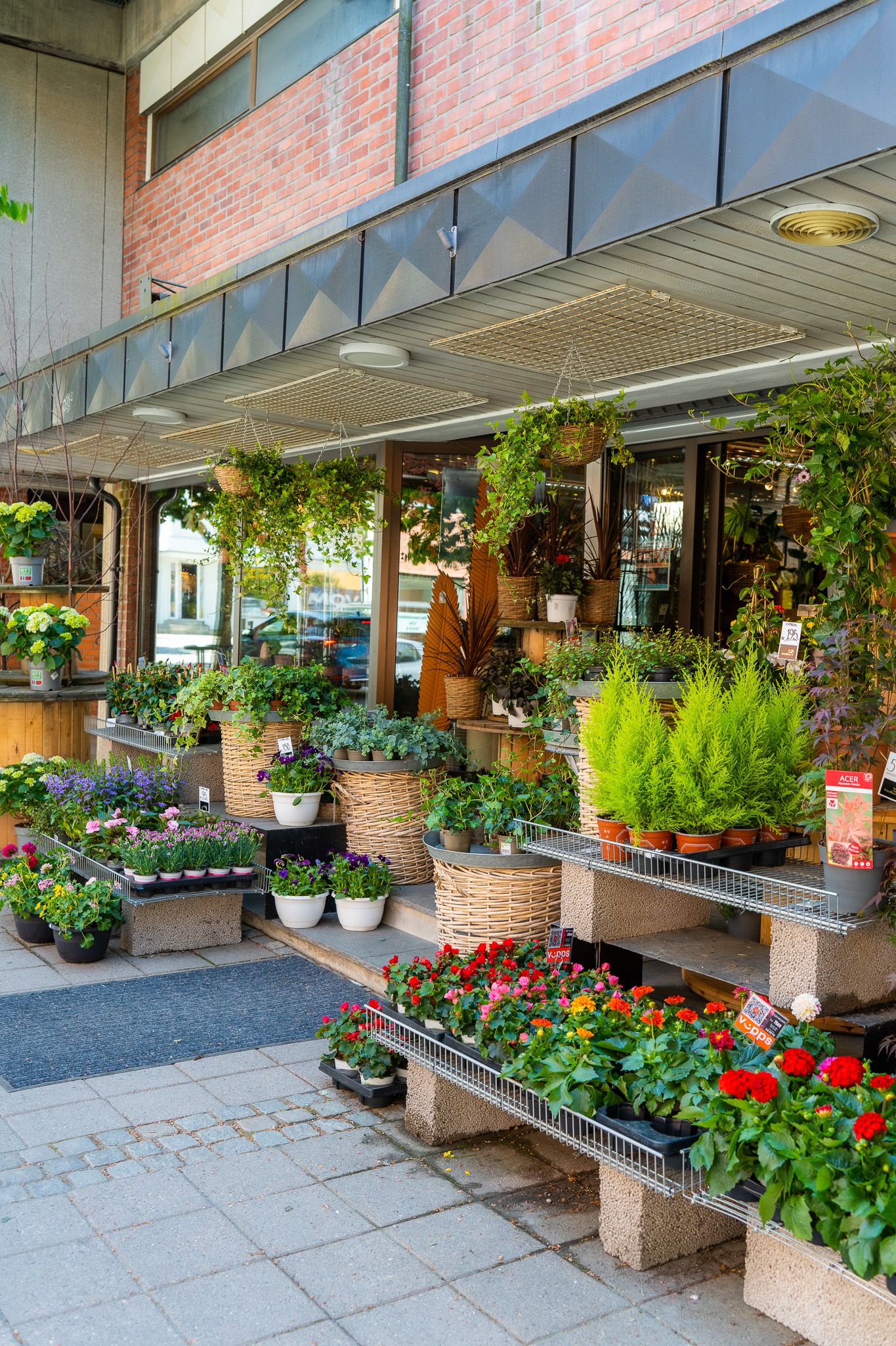 The plant selection outside the store