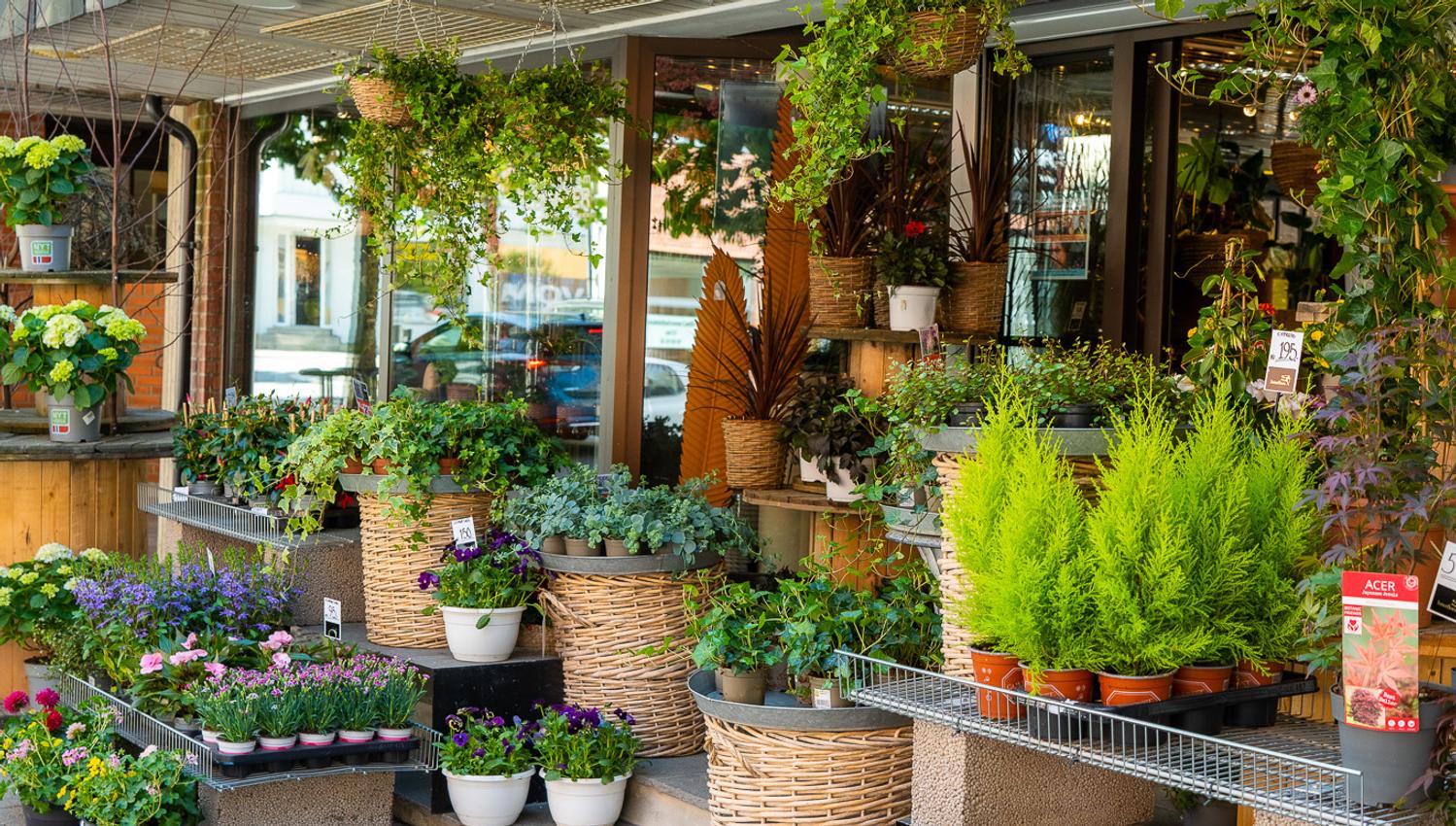 The plant selection outside the store