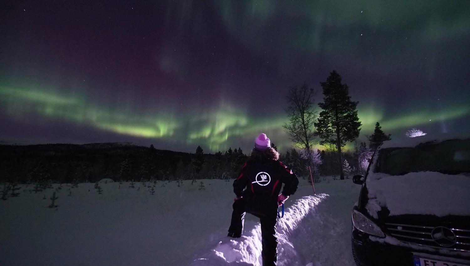 Witness the breathtaking aurora borealis lighting up the night sky in vibrant shades of green and purple. A perfect winter adventure awaits in this serene snowy landscape, where nature's beauty takes center stage.
