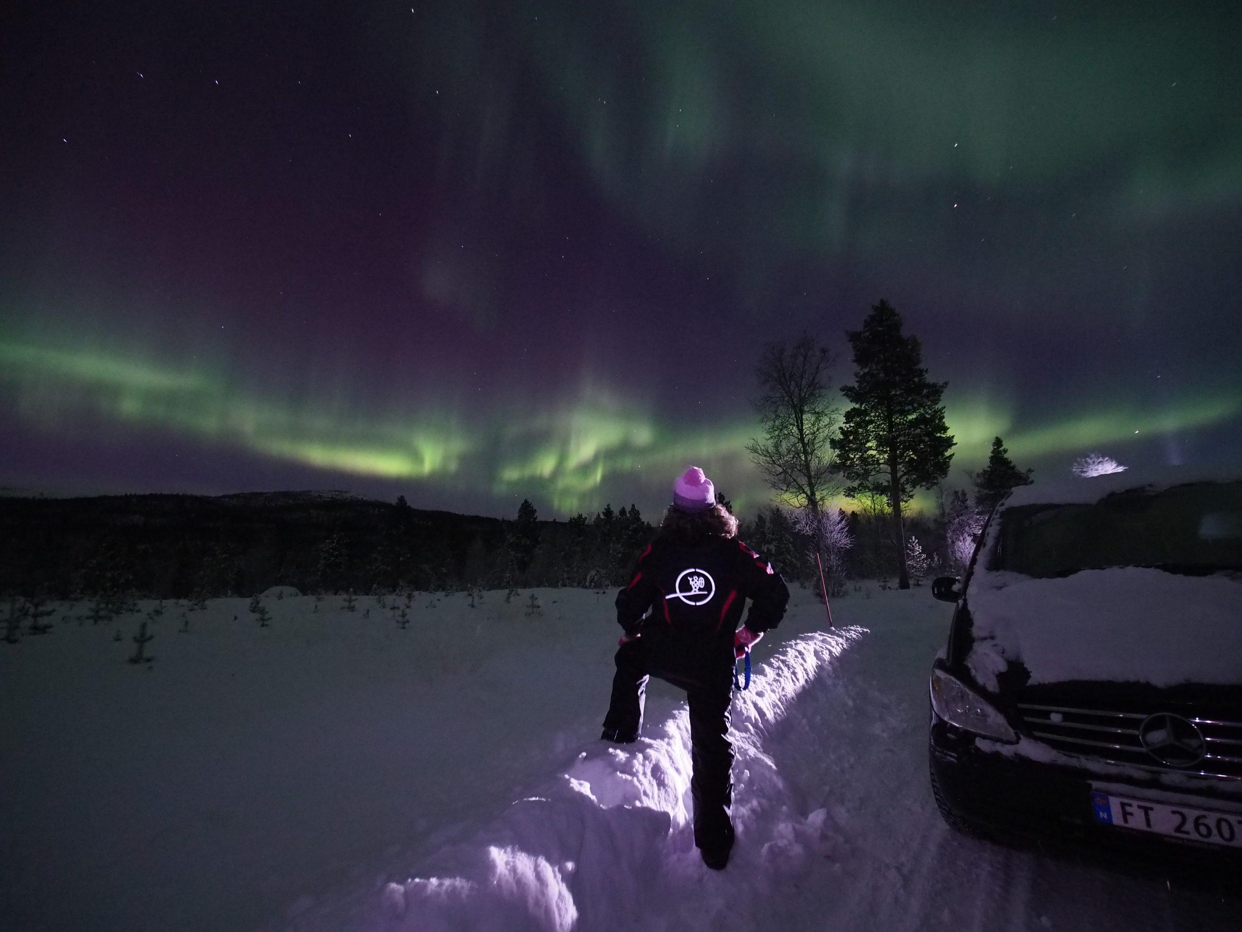 Une personne admire les aurores boréales au-dessus d'un paysage enneigé.
