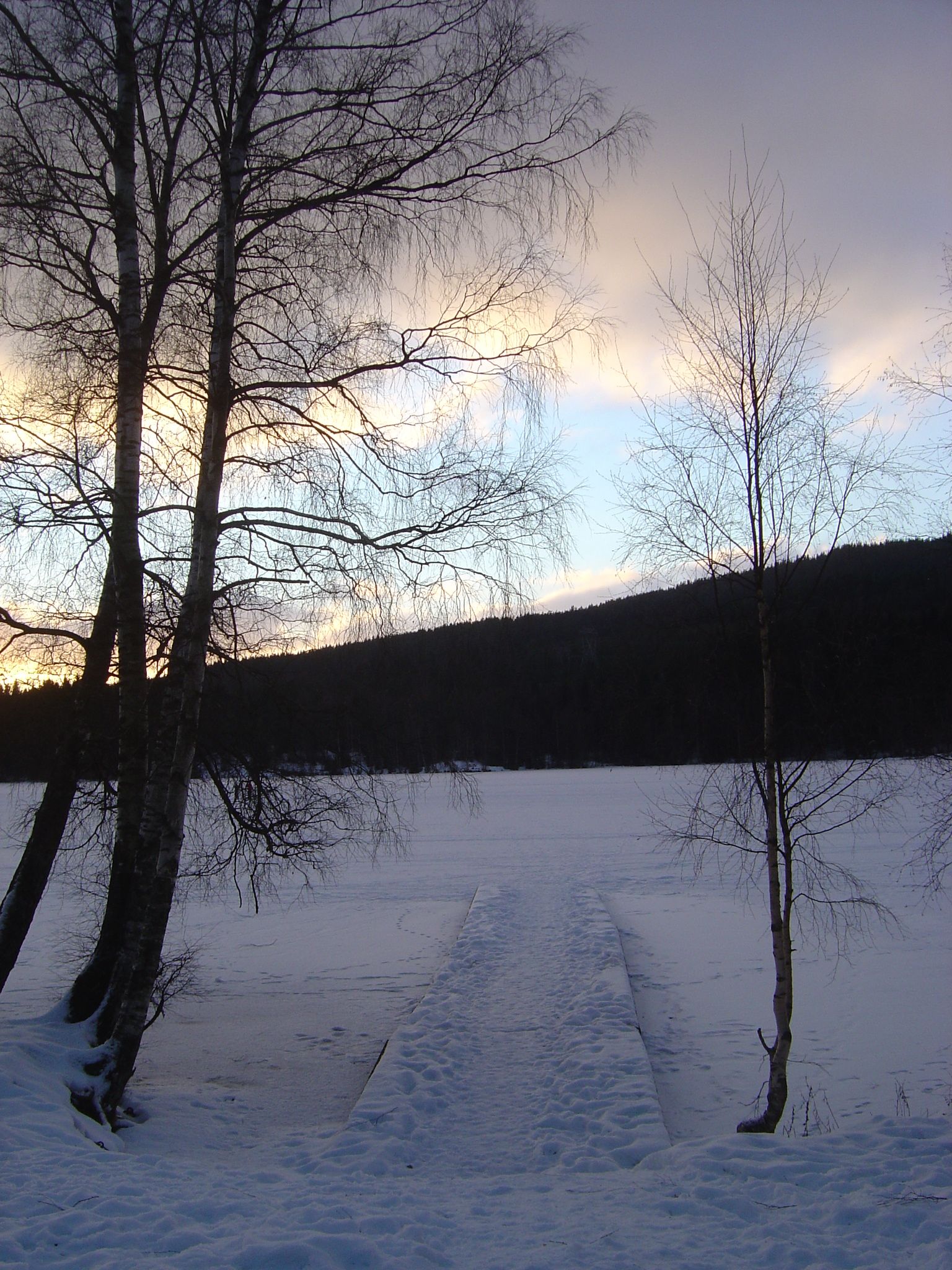 Sognsvann om vinteren 